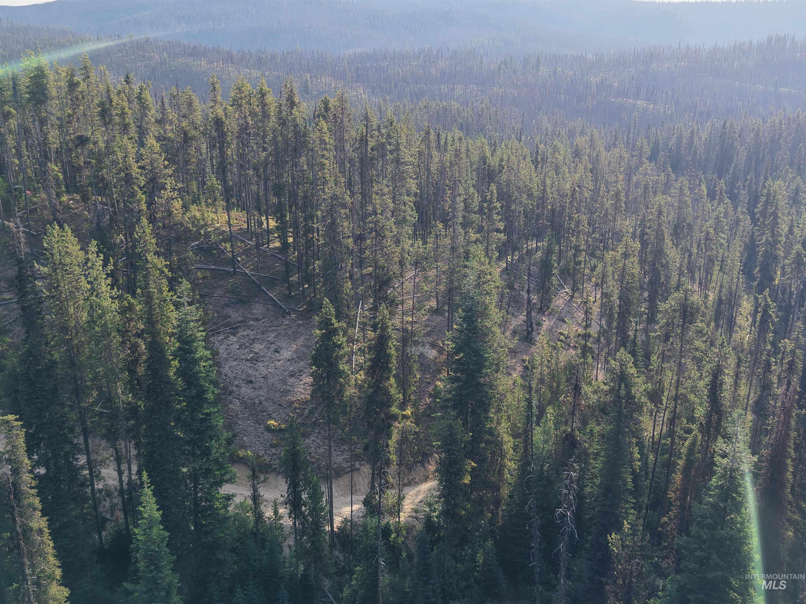 TBD Copperhead Rd, Dixie, Idaho 83525, Land For Sale, Price $126,500, 98999063