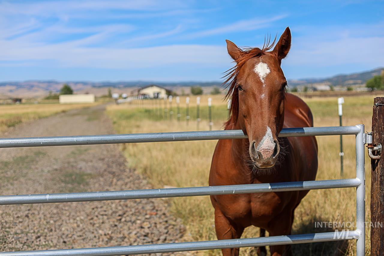 2286 Orchard Road, Council, Idaho 83612, Land For Sale, Price $499,900, 98999168