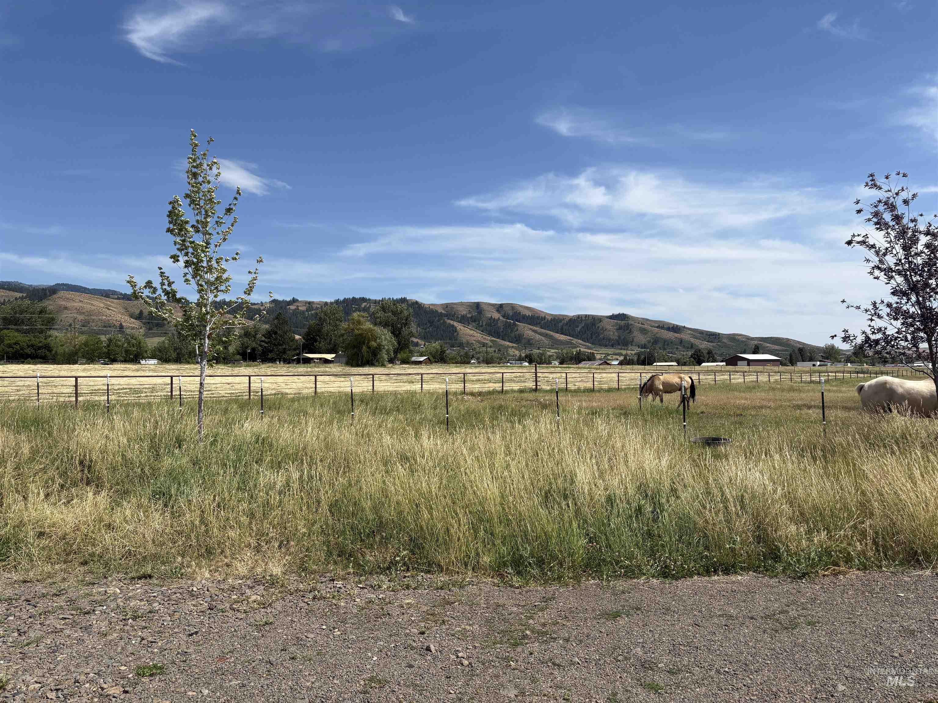 2286 Orchard Road, Council, Idaho 83612, Land For Sale, Price $499,900, 98999168