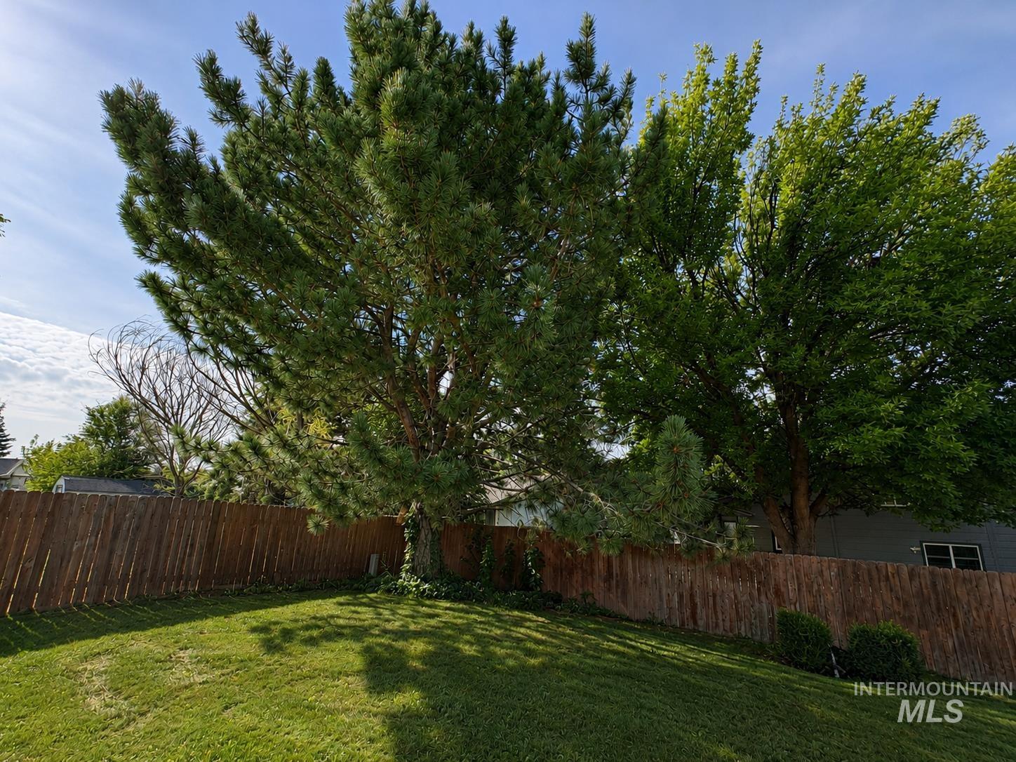 2312 Leo Dr., Nampa, Idaho 83651, 3 Bedrooms, 2 Bathrooms, Residential For Sale, Price $346,900, 98999199