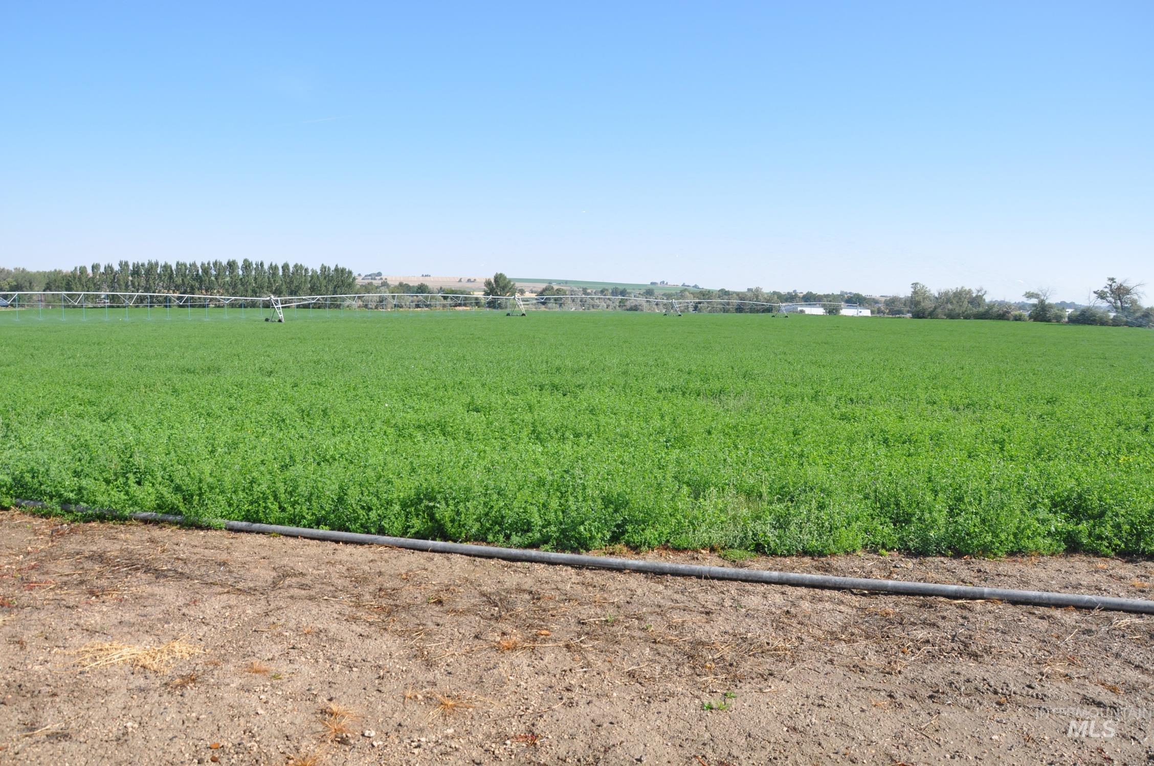 29 S 500 W, Burley, Idaho 83318, 4 Bedrooms, 3.5 Bathrooms, Farm & Ranch For Sale, Price $1,995,000, 98999372