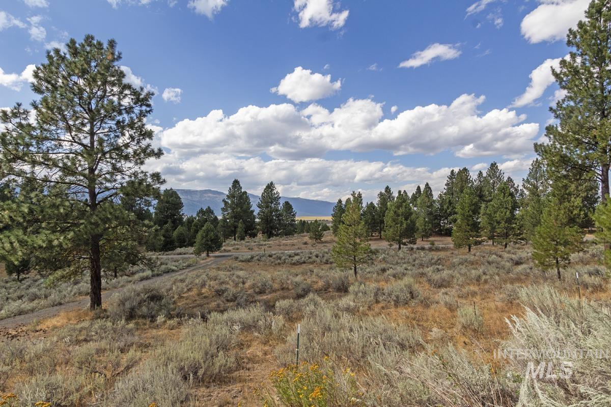 1610 Pine Lake Ranch Drive, Cascade, Idaho 83611, 3 Bedrooms, 3 Bathrooms, Residential For Sale, Price $1,199,000,MLS 98999385