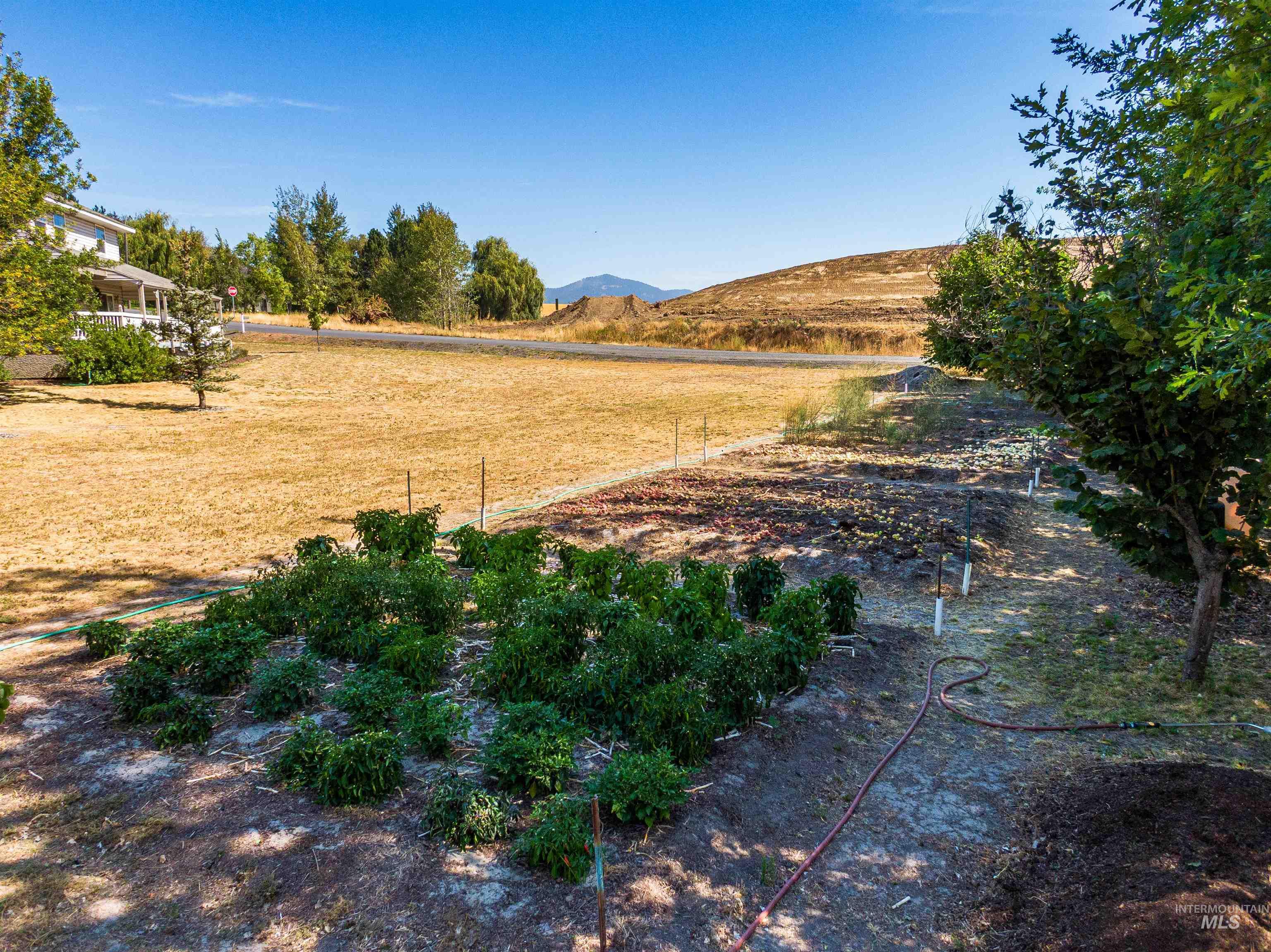 1953 Arborcrest Rd, Moscow, Idaho 83843, 6 Bedrooms, 3 Bathrooms, Residential For Sale, Price $799,000, 98999389