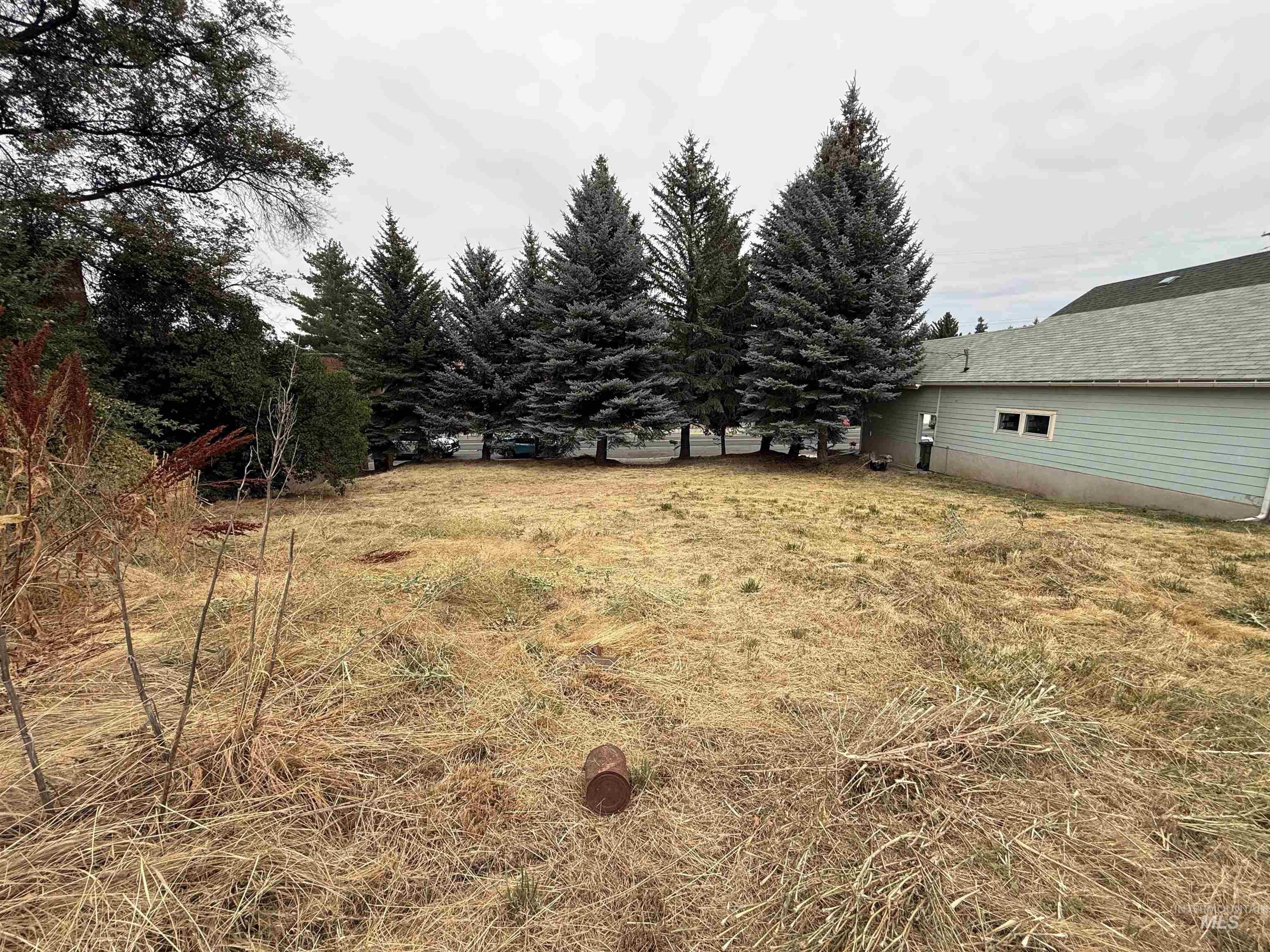TBD S Montgomery St, Uniontown, Washington 99179, Land For Sale, Price $34,900,MLS 98999453