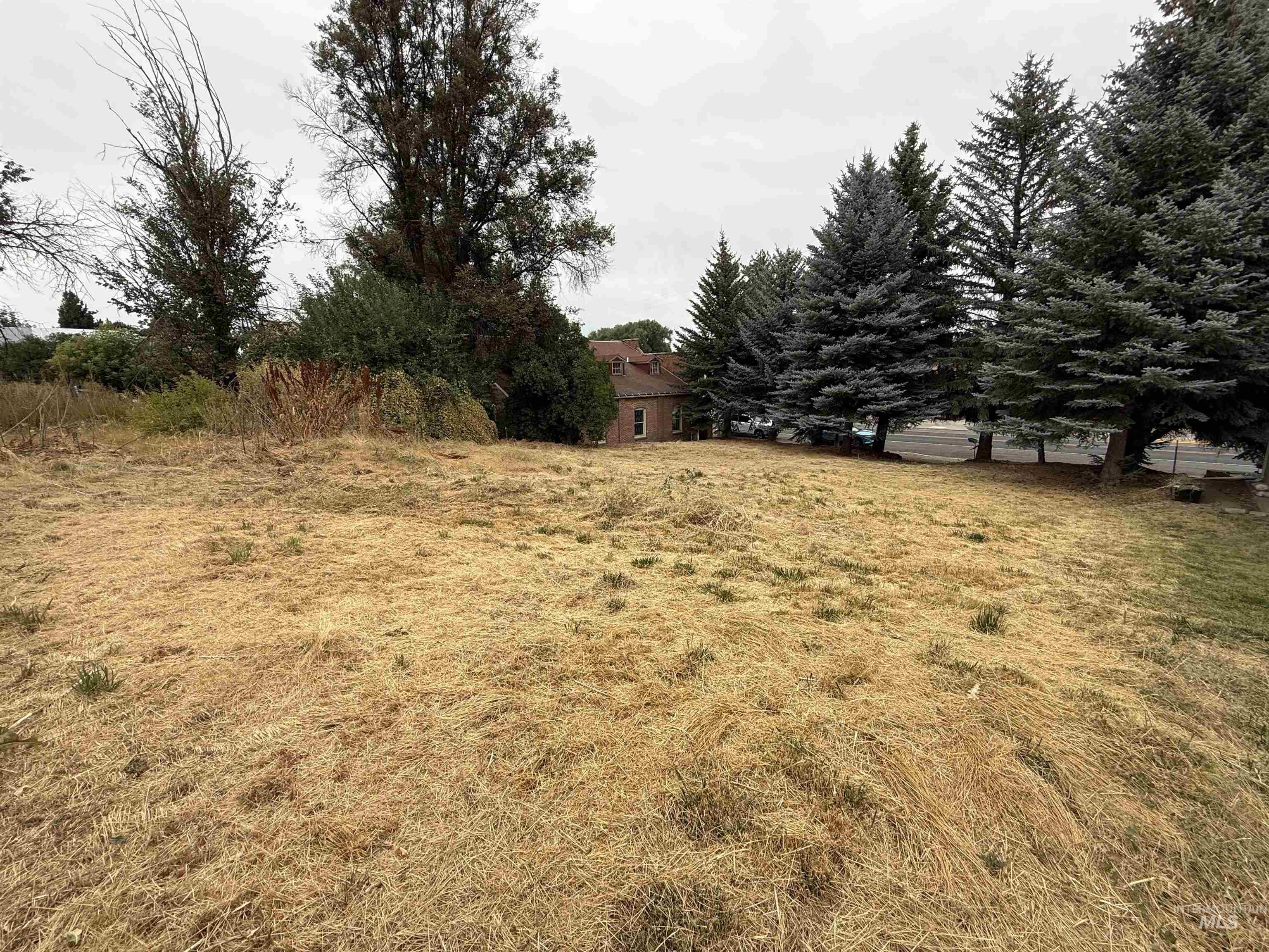 TBD S Montgomery St, Uniontown, Washington 99179, Land For Sale, Price $34,900,MLS 98999453