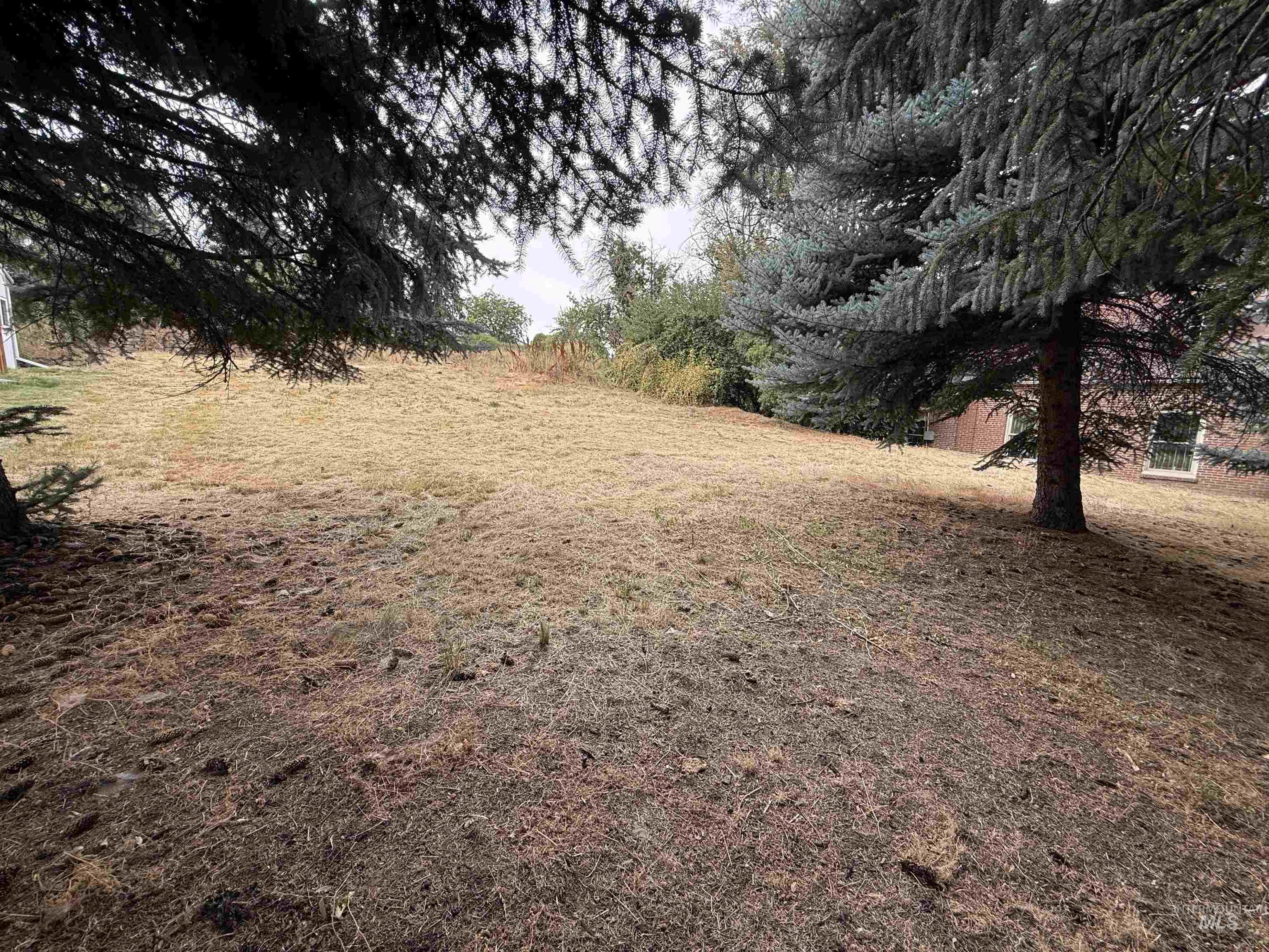 TBD S Montgomery St, Uniontown, Washington 99179, Land For Sale, Price $34,900,MLS 98999453