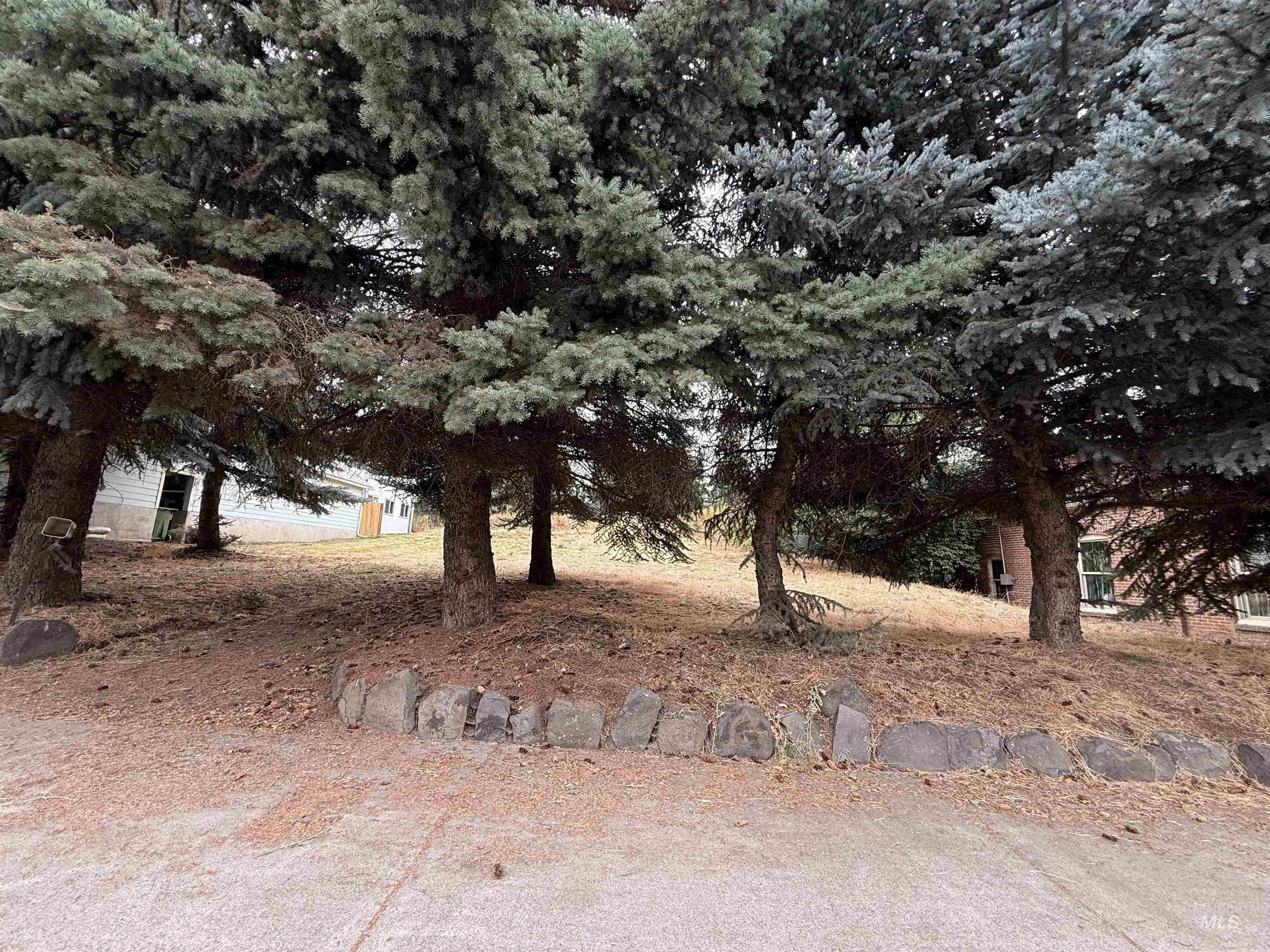TBD S Montgomery St, Uniontown, Washington 99179, Land For Sale, Price $34,900,MLS 98999453