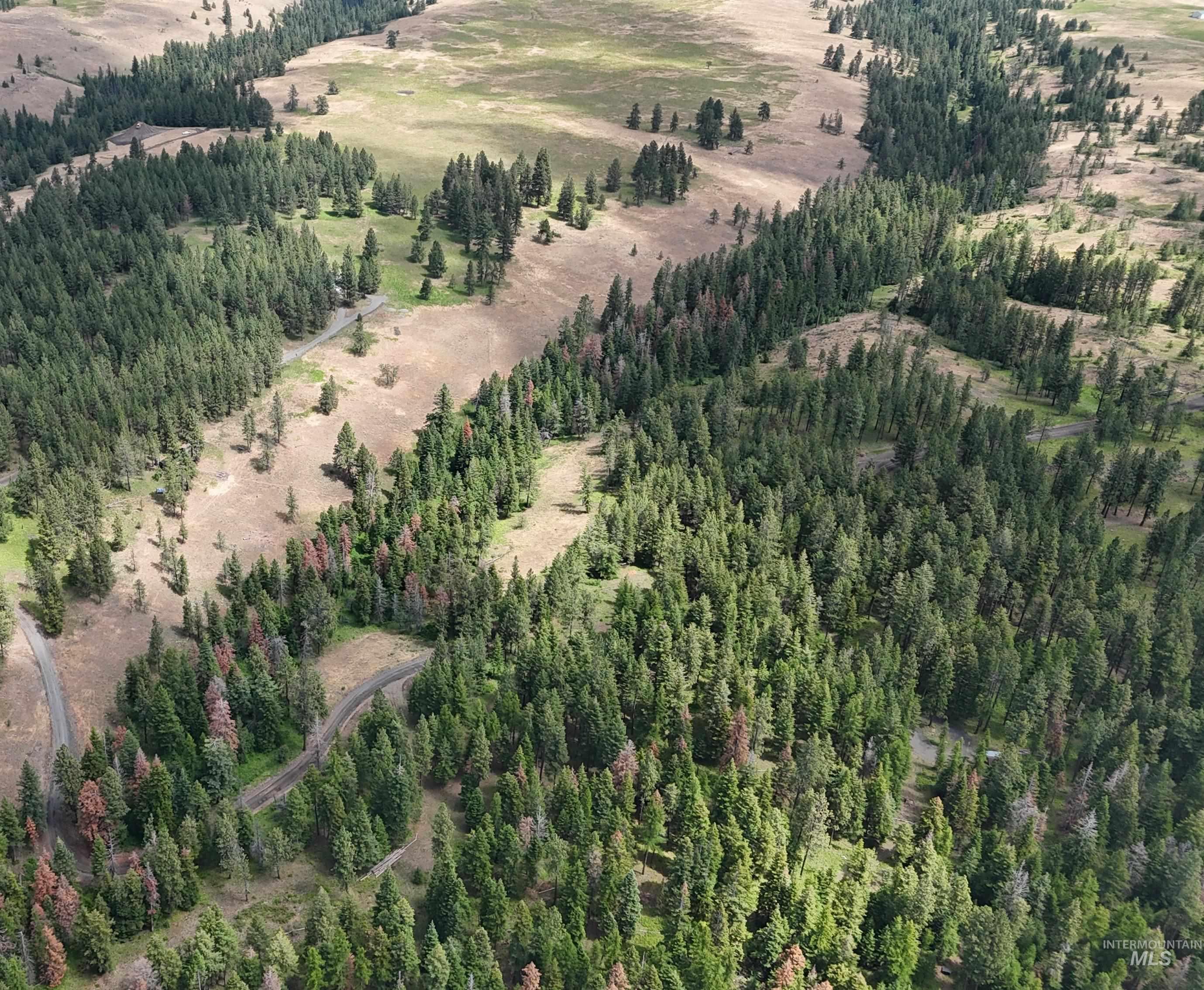 NNA Lots 25 Cloverland Estates, Asotin, Washington 99402, Land For Sale, Price $120,000, 98999458