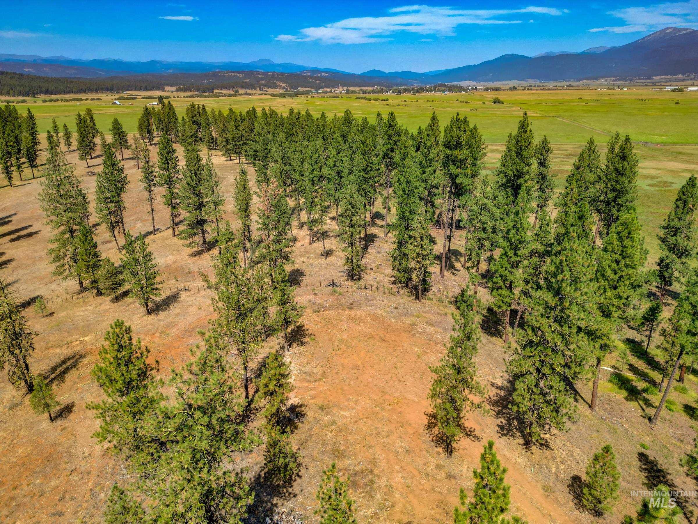 3162 Timber R, New Meadows, Idaho 84654, Land For Sale, Price $459,000, 98999470