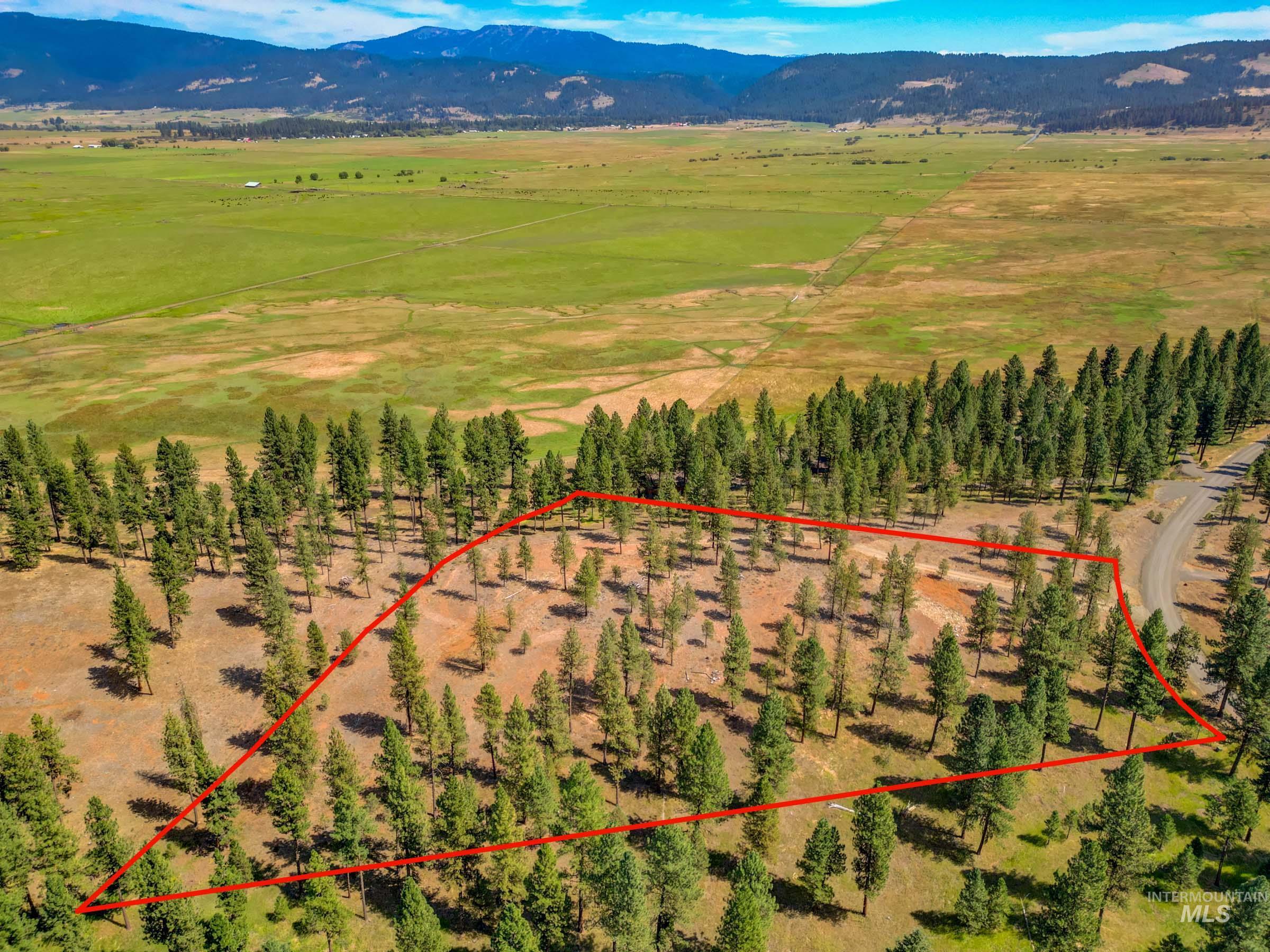 3162 Timber R, New Meadows, Idaho 84654, Land For Sale, Price $459,000, 98999470