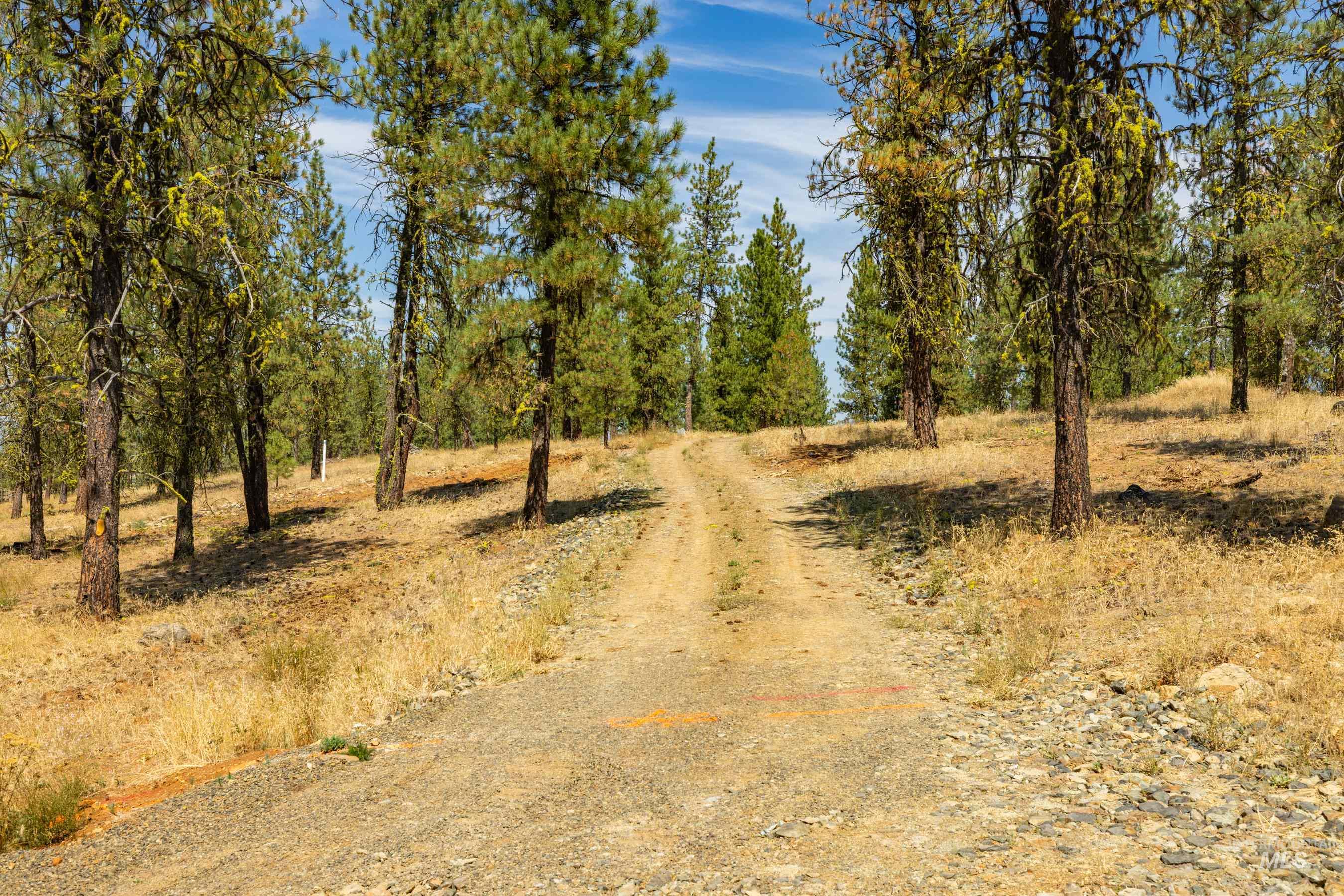 3162 Timber R, New Meadows, Idaho 84654, Land For Sale, Price $459,000, 98999470