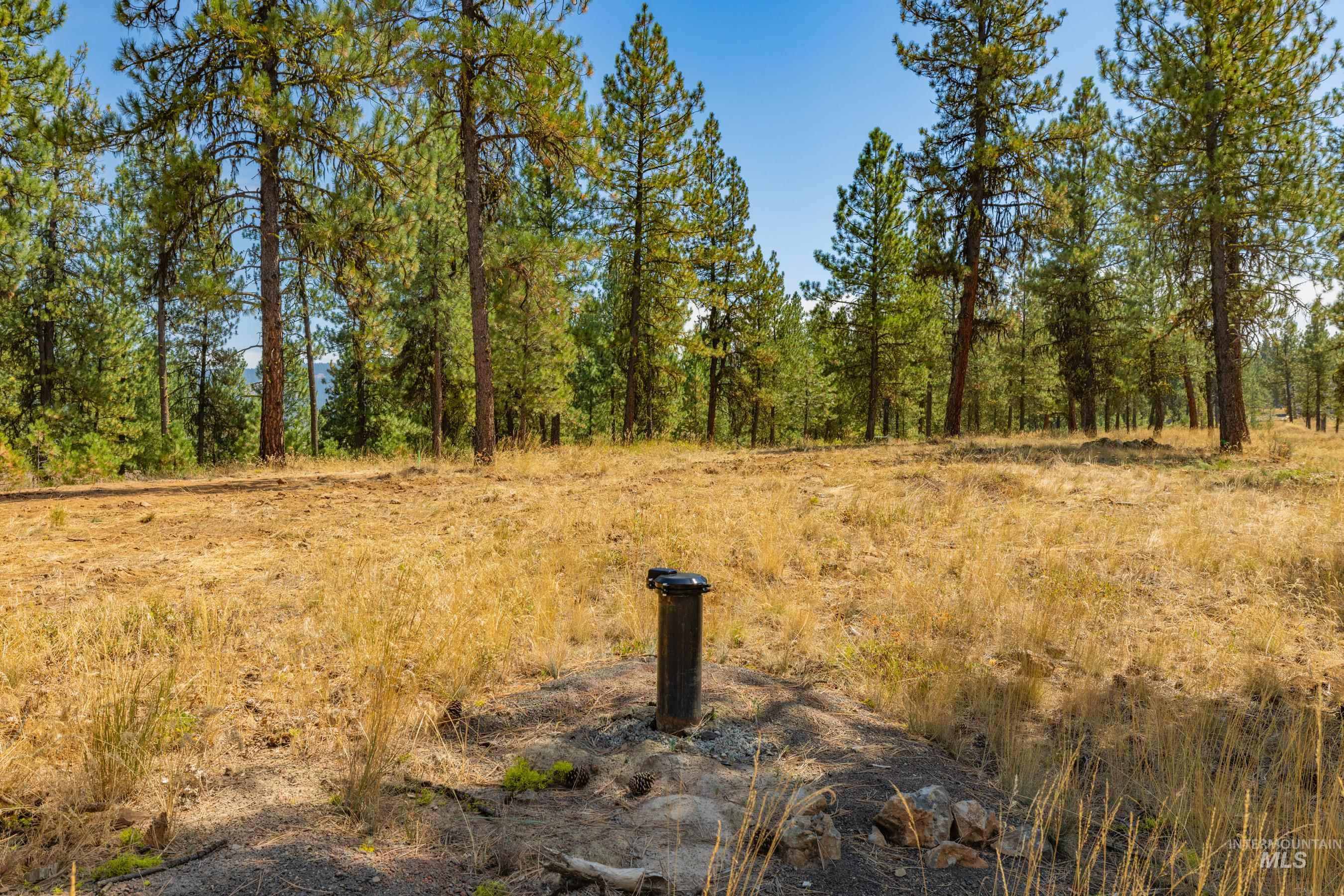3162 Timber R, New Meadows, Idaho 84654, Land For Sale, Price $459,000, 98999470
