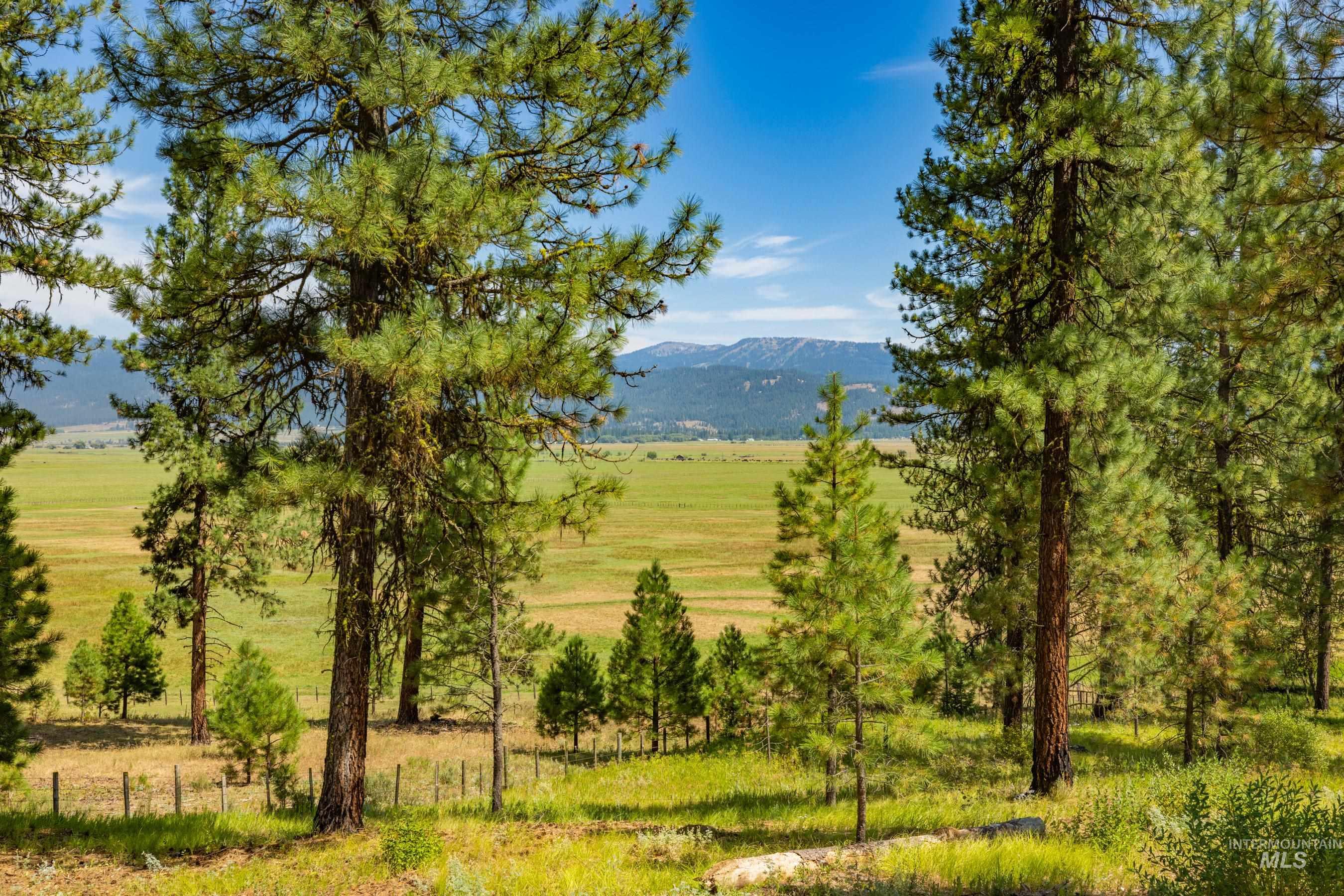 3162 Timber R, New Meadows, Idaho 84654, Land For Sale, Price $459,000, 98999470