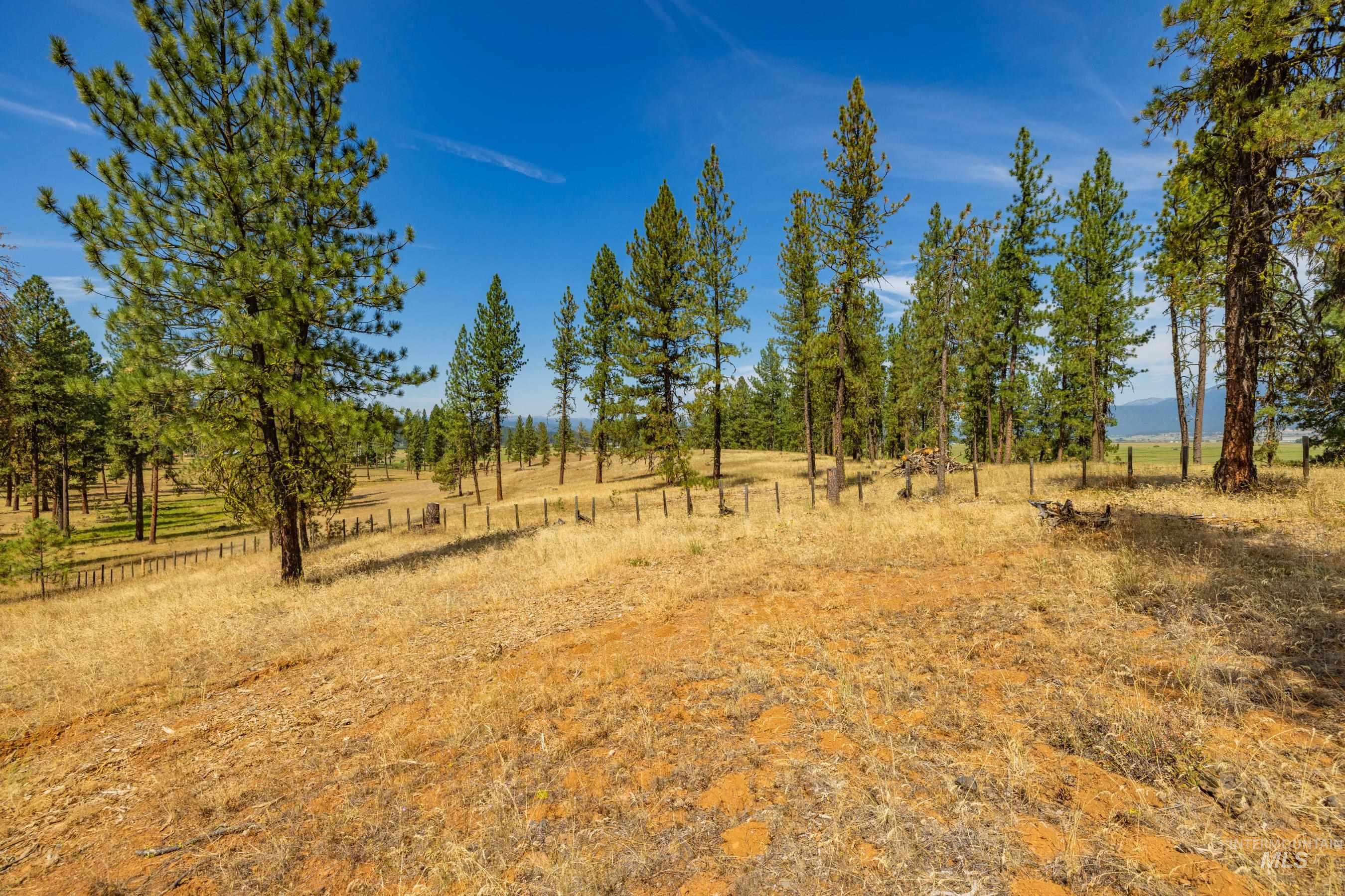 3162 Timber R, New Meadows, Idaho 84654, Land For Sale, Price $459,000, 98999470