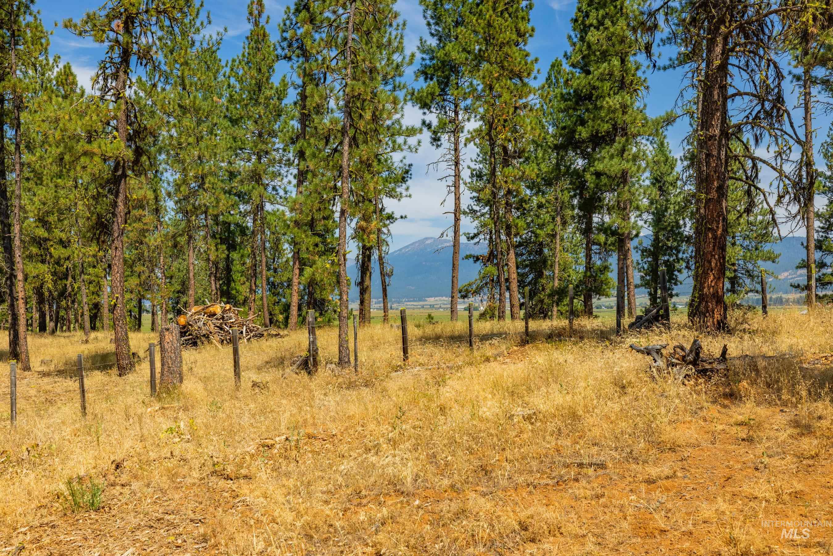 3162 Timber R, New Meadows, Idaho 84654, Land For Sale, Price $459,000, 98999470