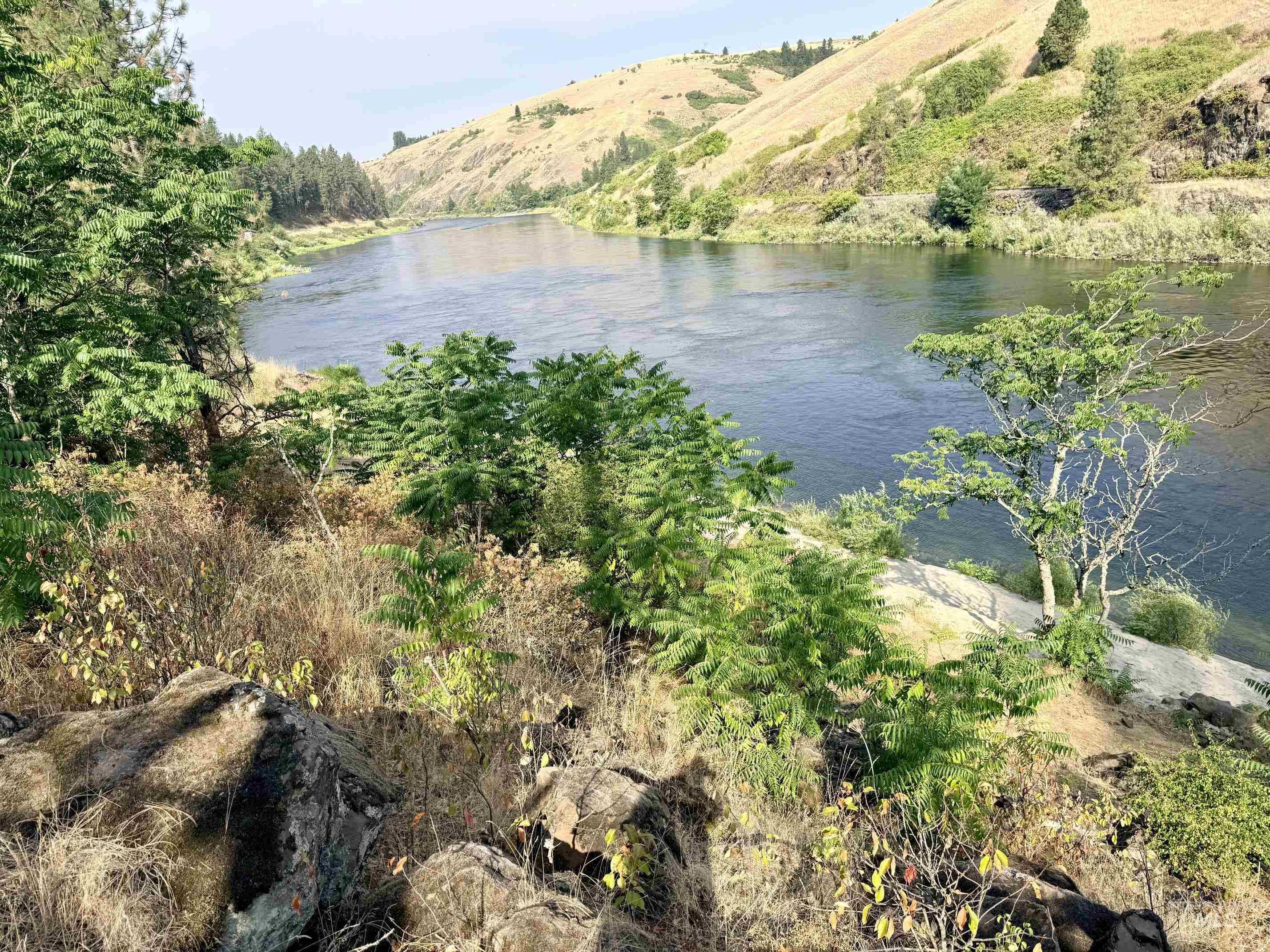 TBD 17.49 Acres Hwy 12, Lenore, Idaho 83541, Land For Sale, Price $280,500, 98999543