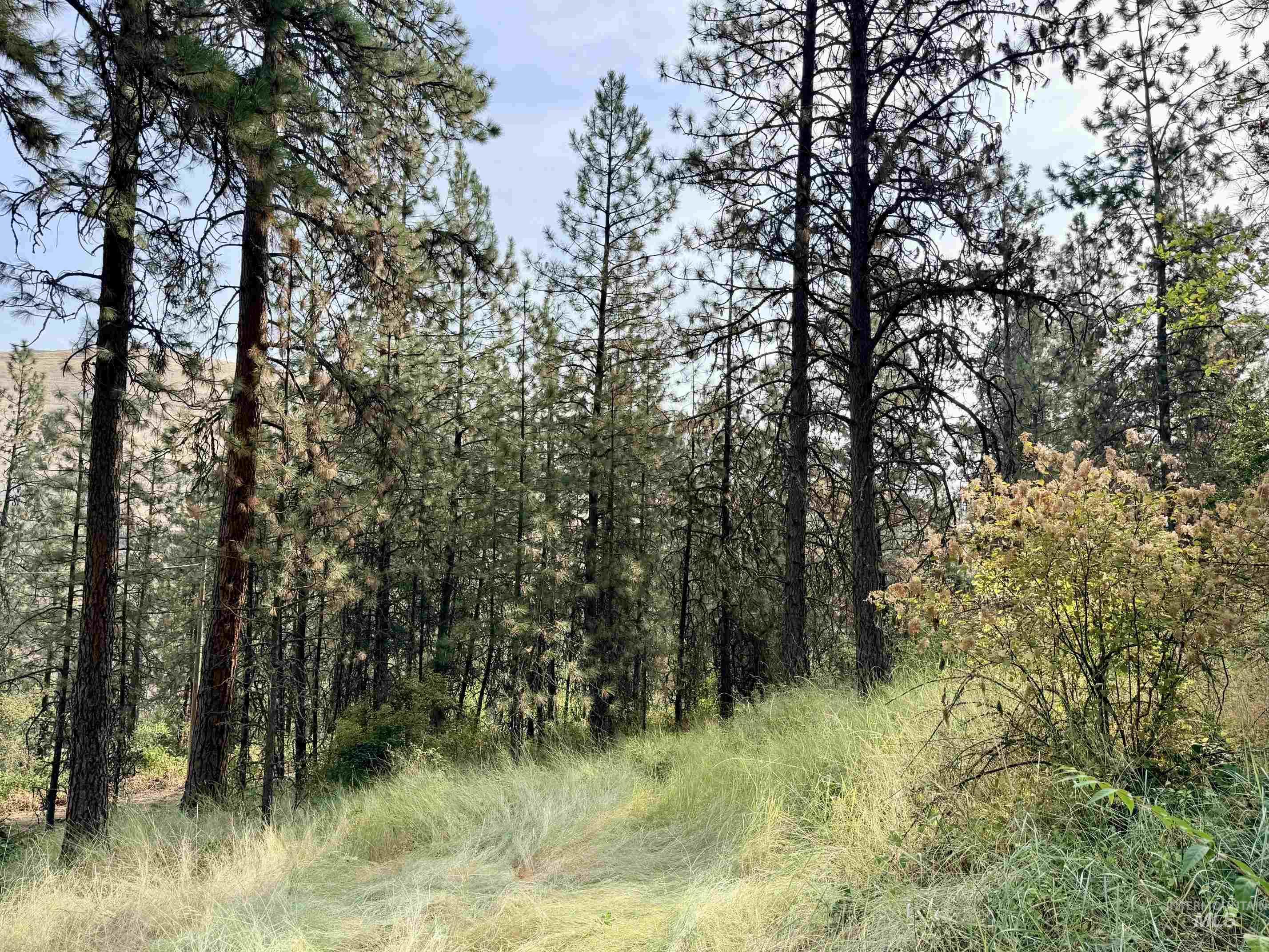 TBD 17.49 Acres Hwy 12, Lenore, Idaho 83541, Land For Sale, Price $280,500, 98999543