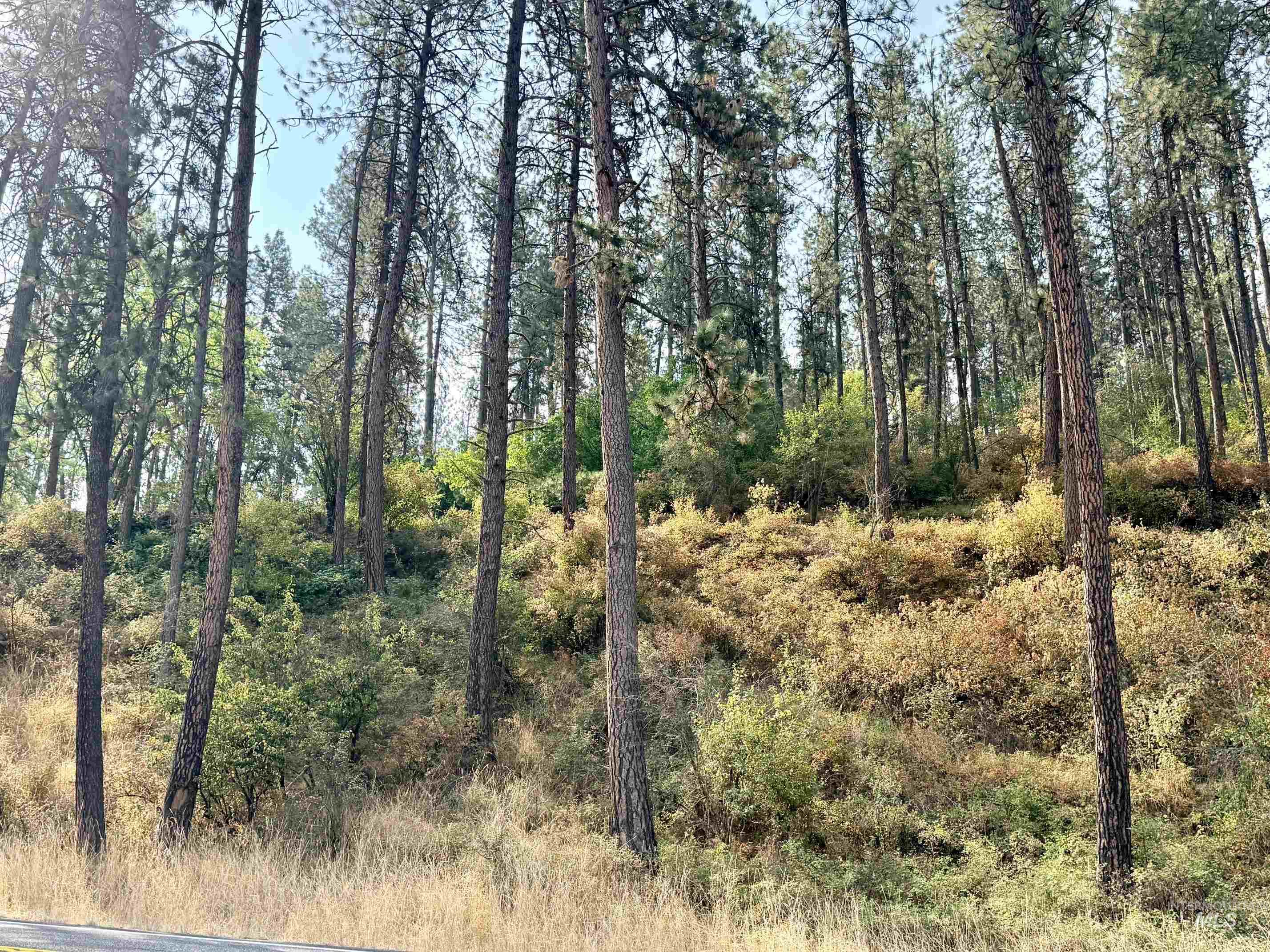 TBD 17.49 Acres Hwy 12, Lenore, Idaho 83541, Land For Sale, Price $280,500, 98999543