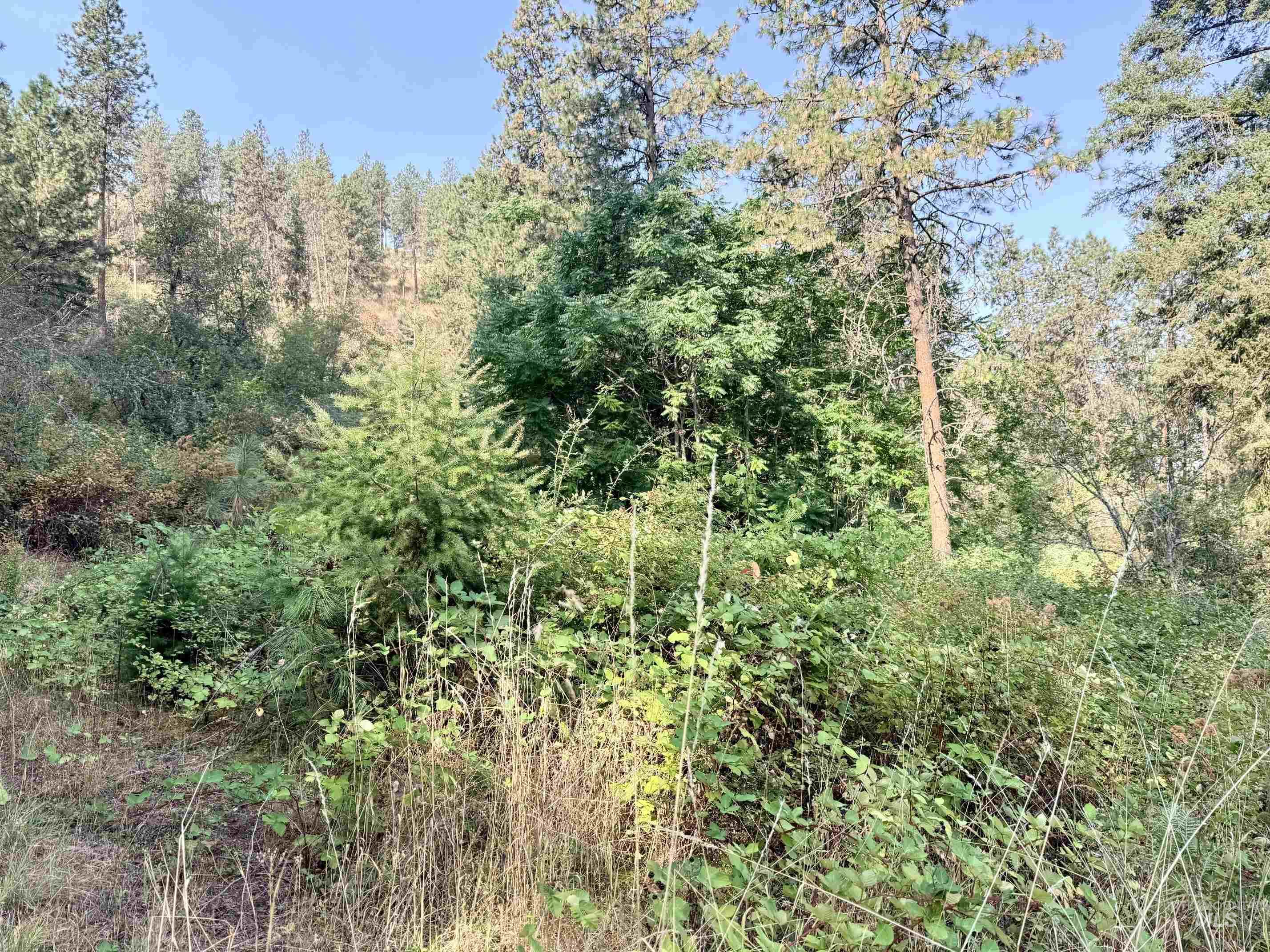 TBD 17.49 Acres Hwy 12, Lenore, Idaho 83541, Land For Sale, Price $280,500, 98999543