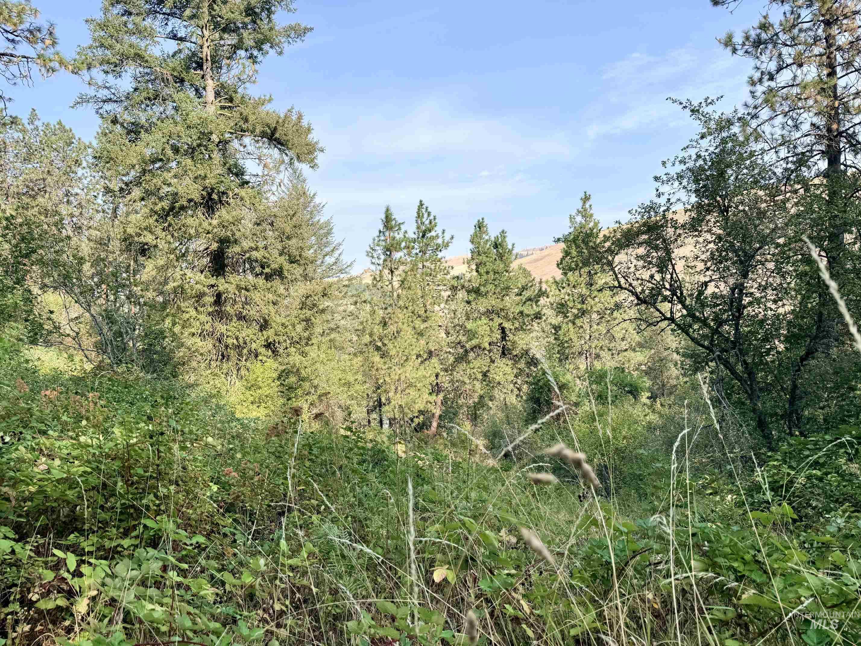 TBD 17.49 Acres Hwy 12, Lenore, Idaho 83541, Land For Sale, Price $280,500, 98999543