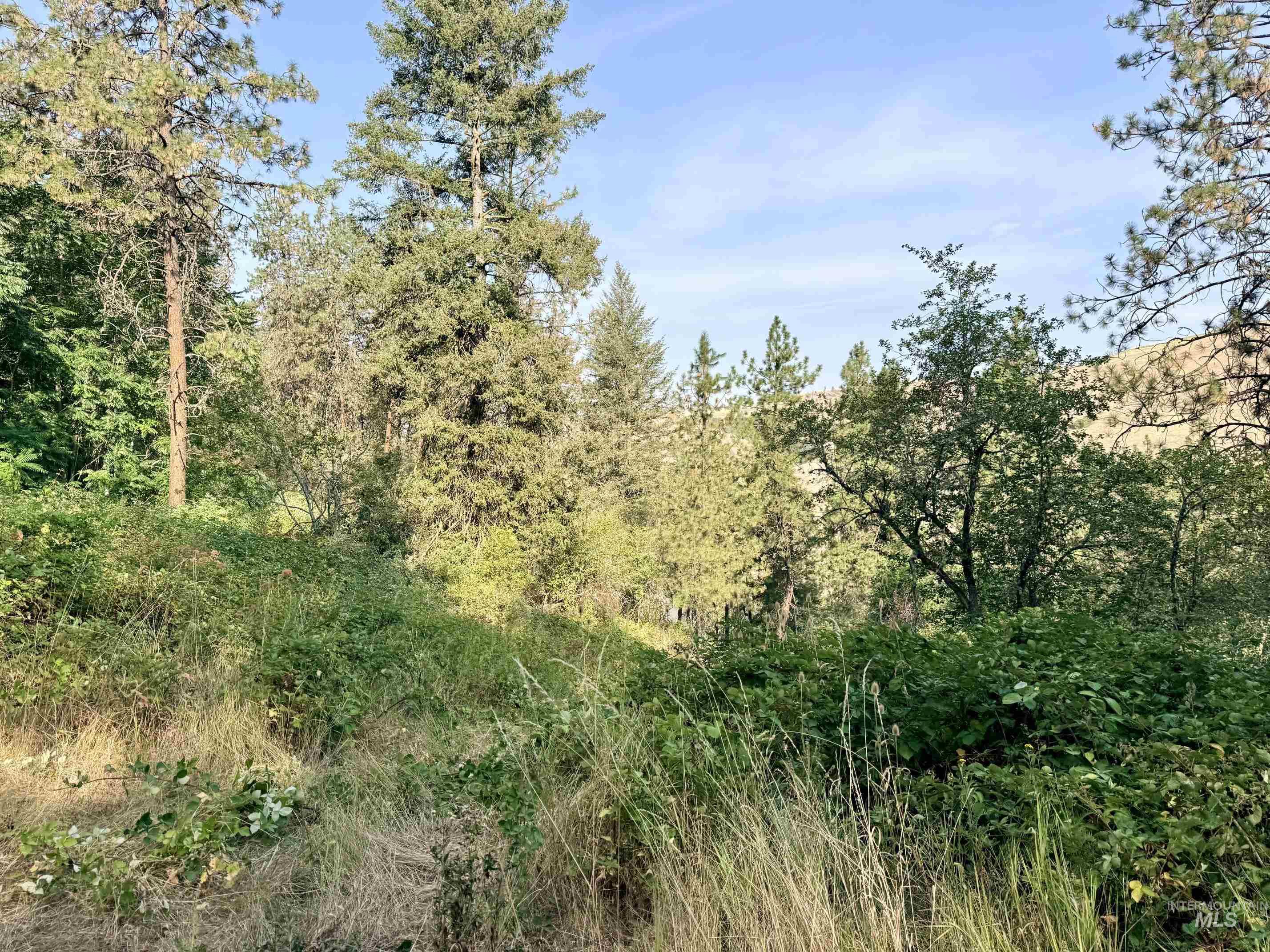 TBD 17.49 Acres Hwy 12, Lenore, Idaho 83541, Land For Sale, Price $280,500, 98999543