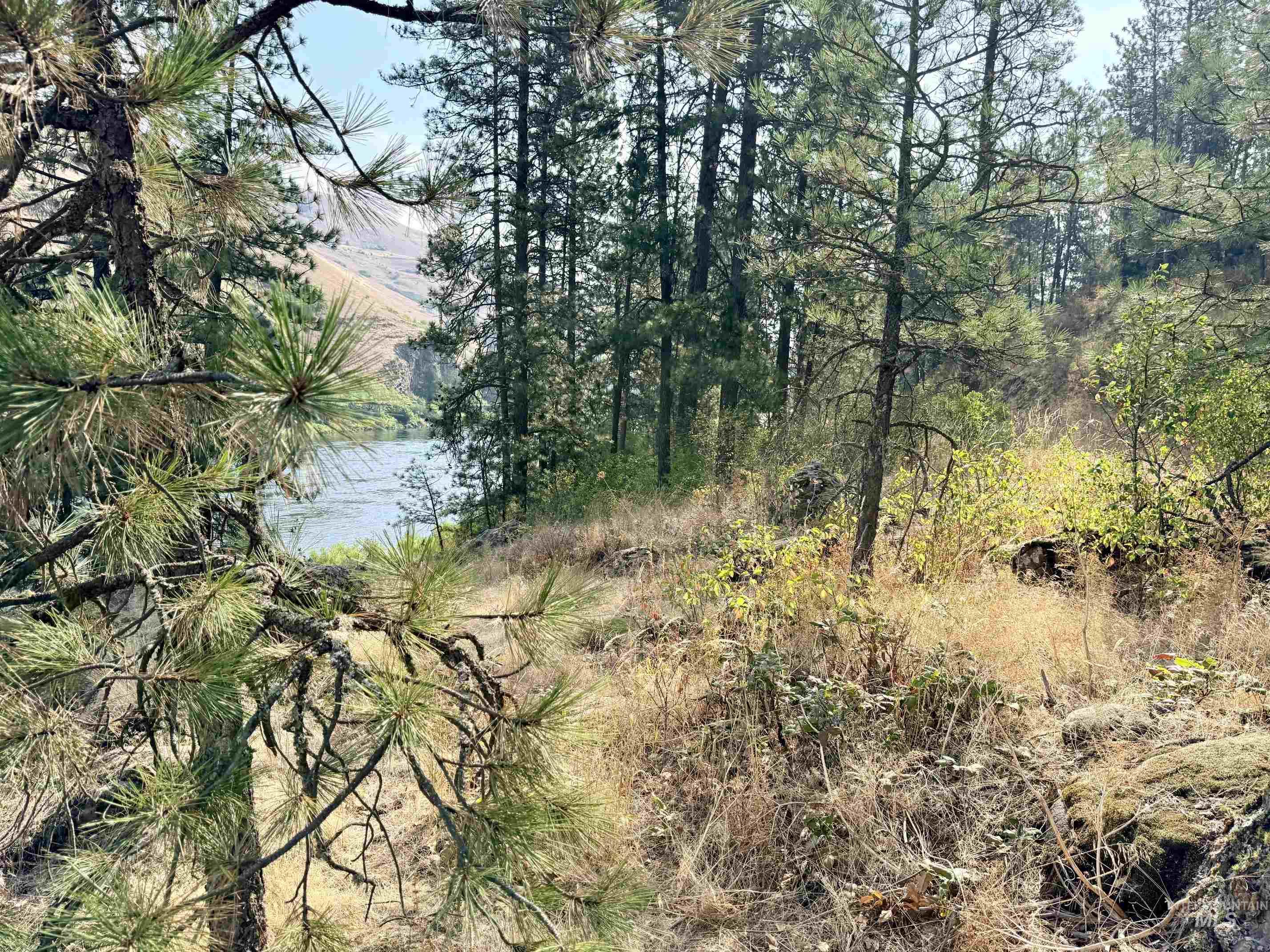 TBD 17.49 Acres Hwy 12, Lenore, Idaho 83541, Land For Sale, Price $280,500, 98999543