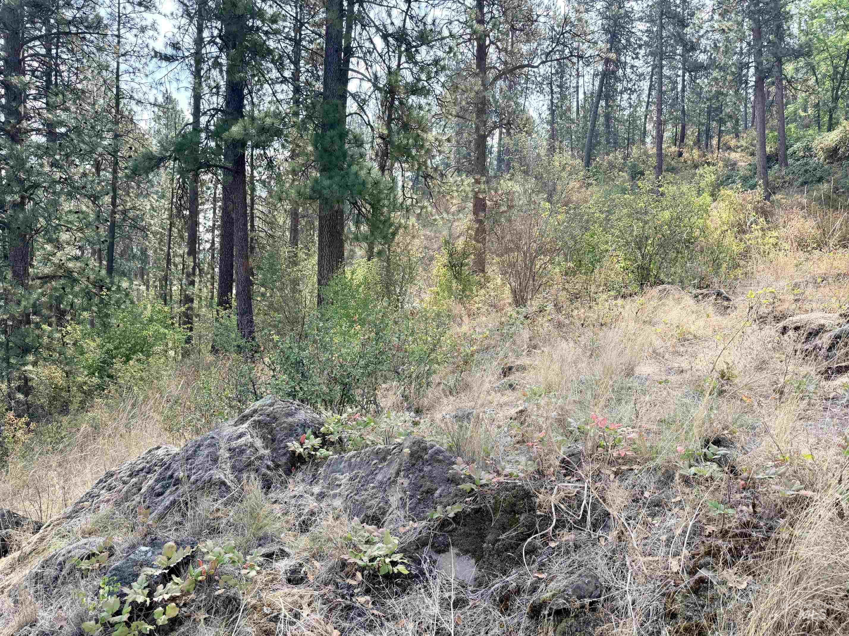 TBD 17.49 Acres Hwy 12, Lenore, Idaho 83541, Land For Sale, Price $280,500, 98999543