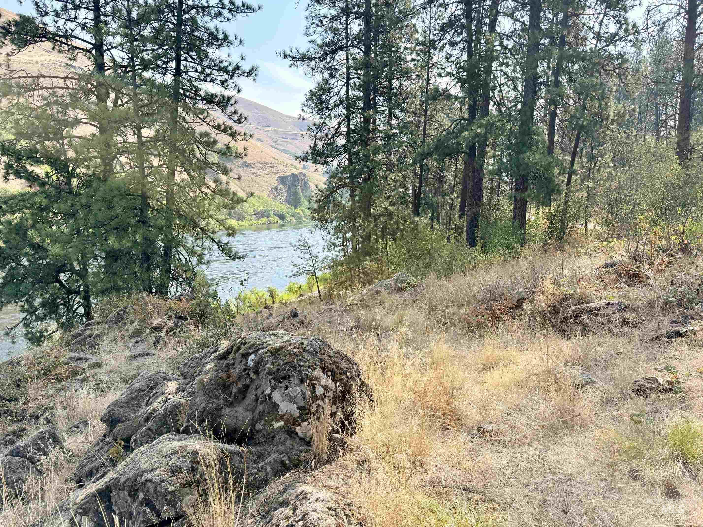 TBD 17.49 Acres Hwy 12, Lenore, Idaho 83541, Land For Sale, Price $280,500, 98999543