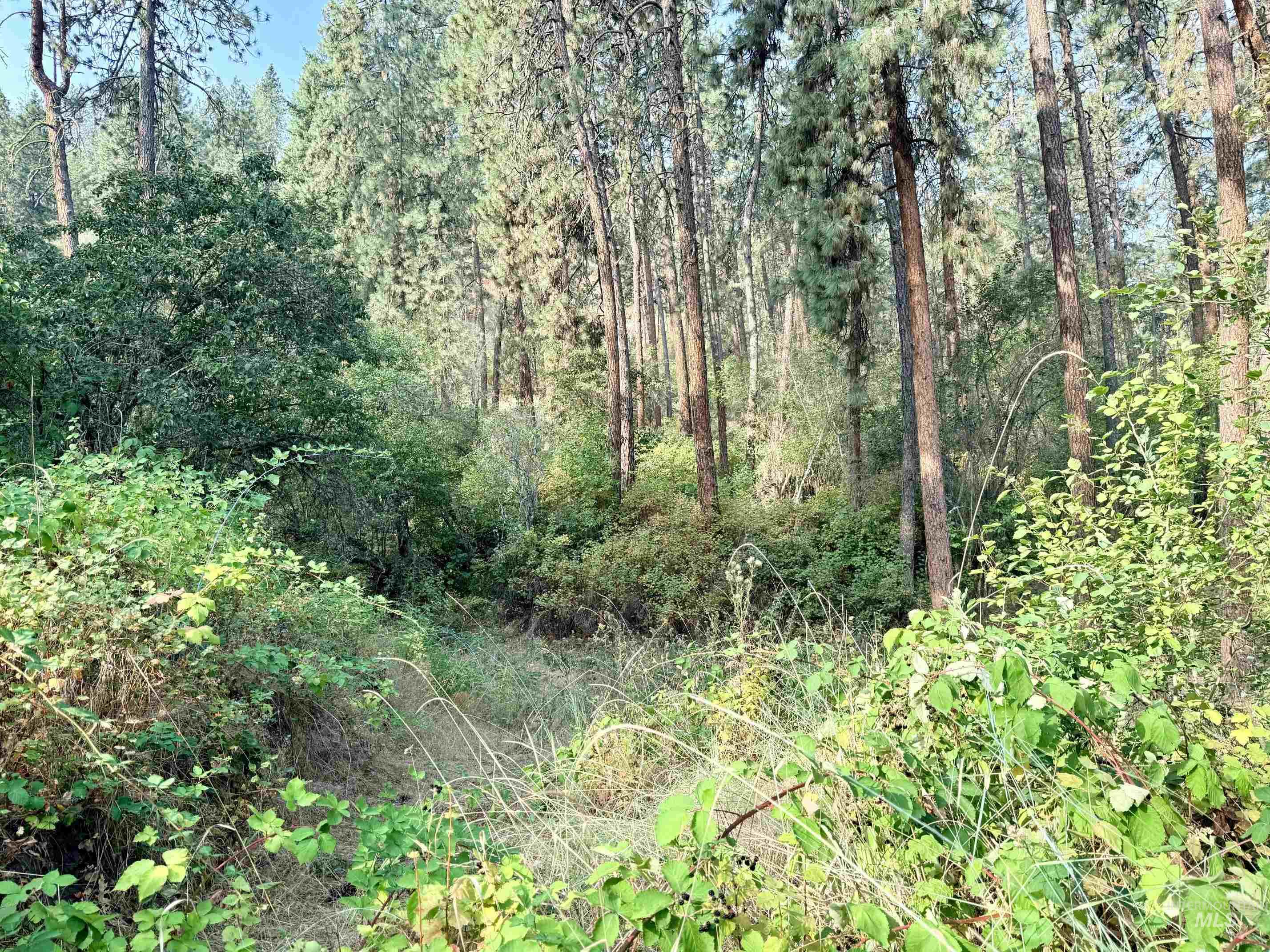 TBD 17.49 Acres Hwy 12, Lenore, Idaho 83541, Land For Sale, Price $280,500, 98999543