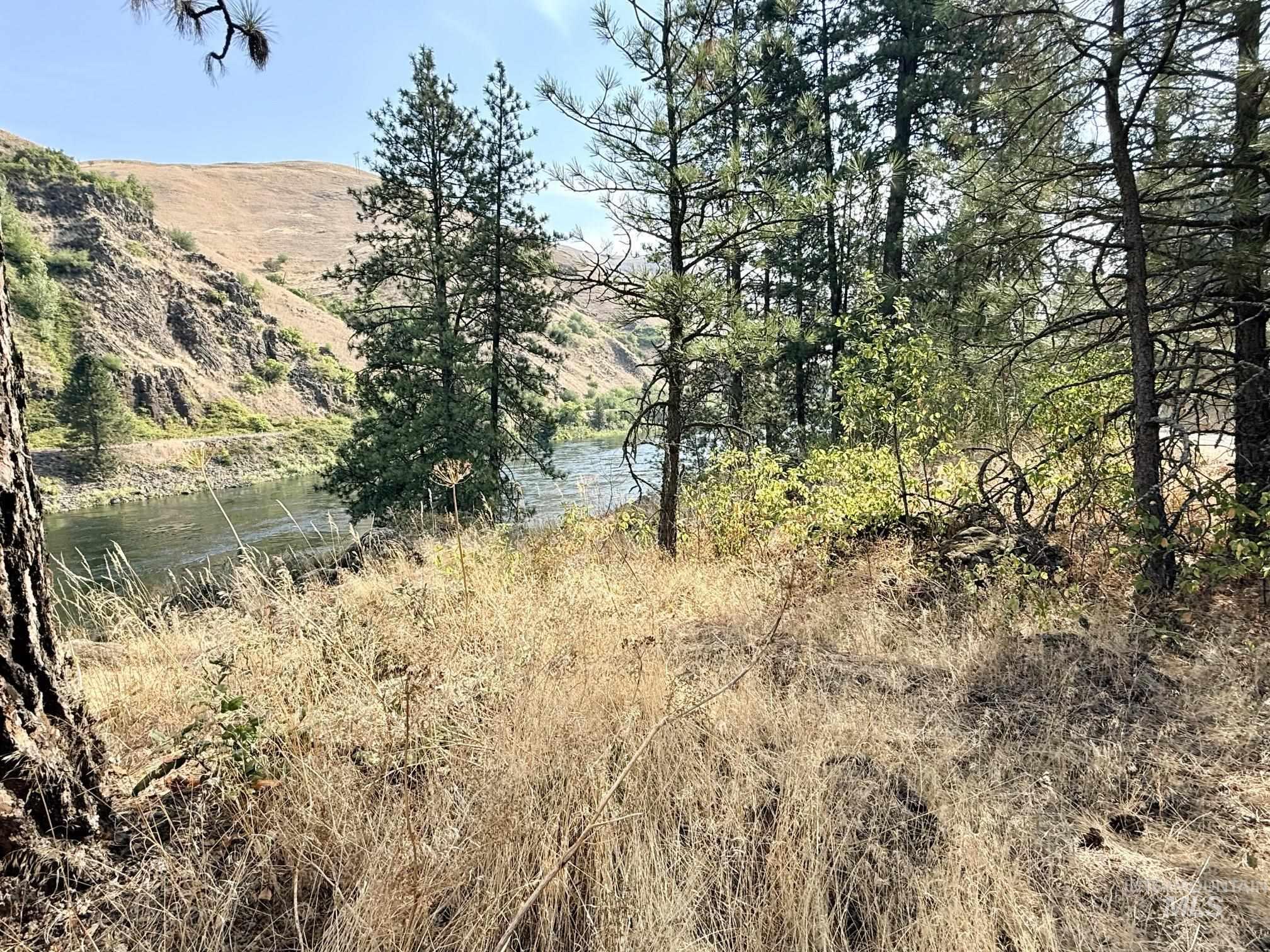 TBD 17.49 Acres Hwy 12, Lenore, Idaho 83541, Land For Sale, Price $280,500, 98999543