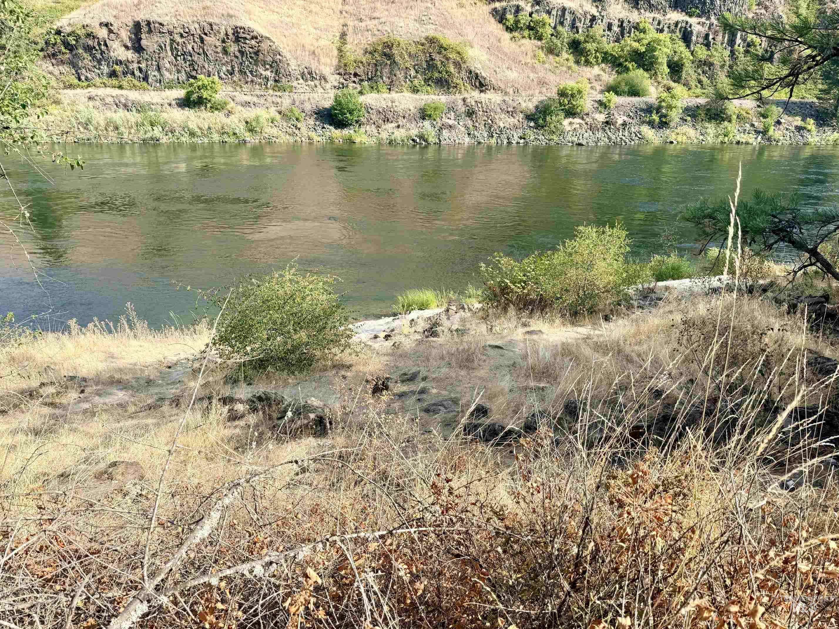 TBD 17.49 Acres Hwy 12, Lenore, Idaho 83541, Land For Sale, Price $280,500, 98999543