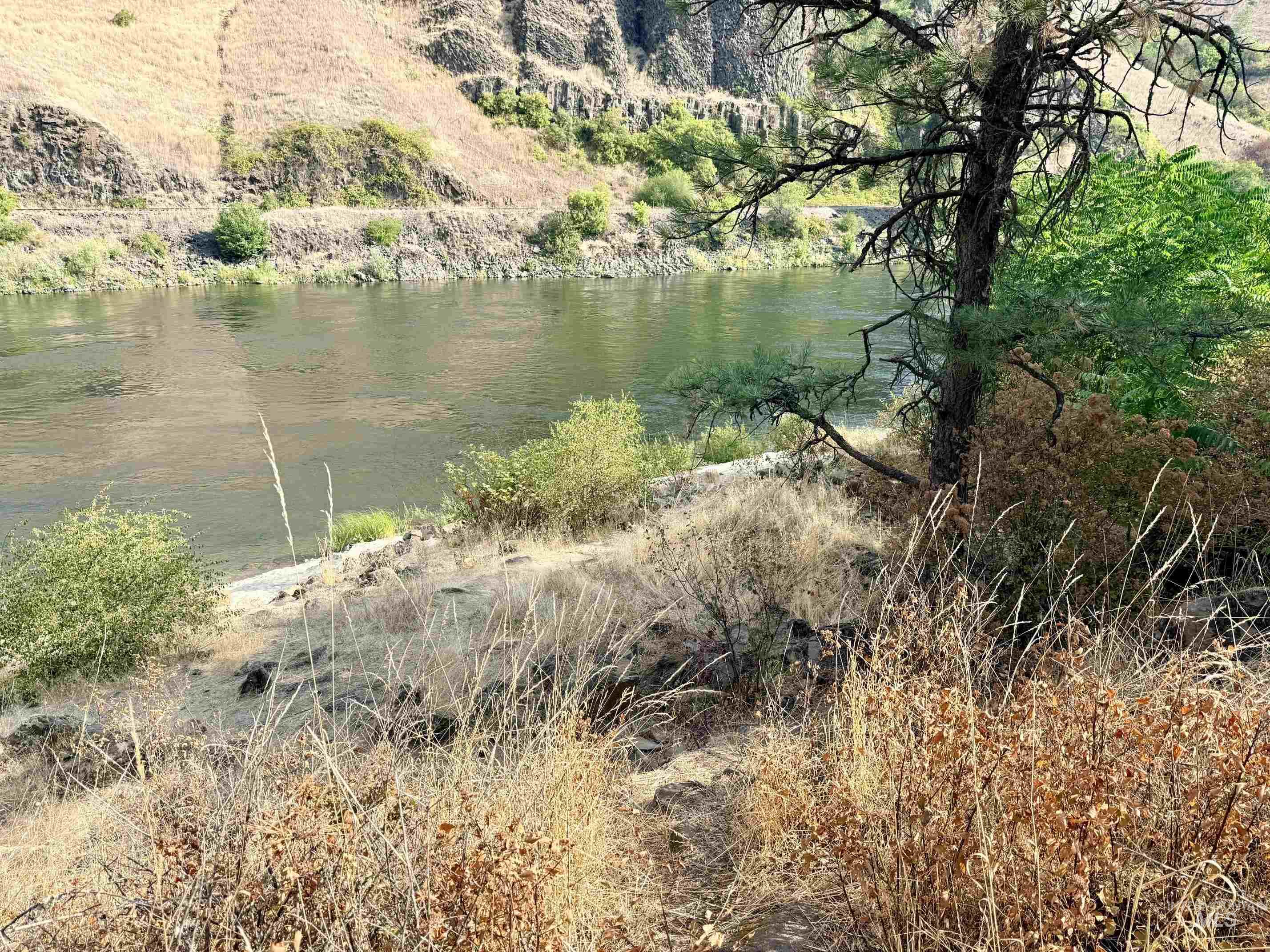 TBD 17.49 Acres Hwy 12, Lenore, Idaho 83541, Land For Sale, Price $280,500, 98999543