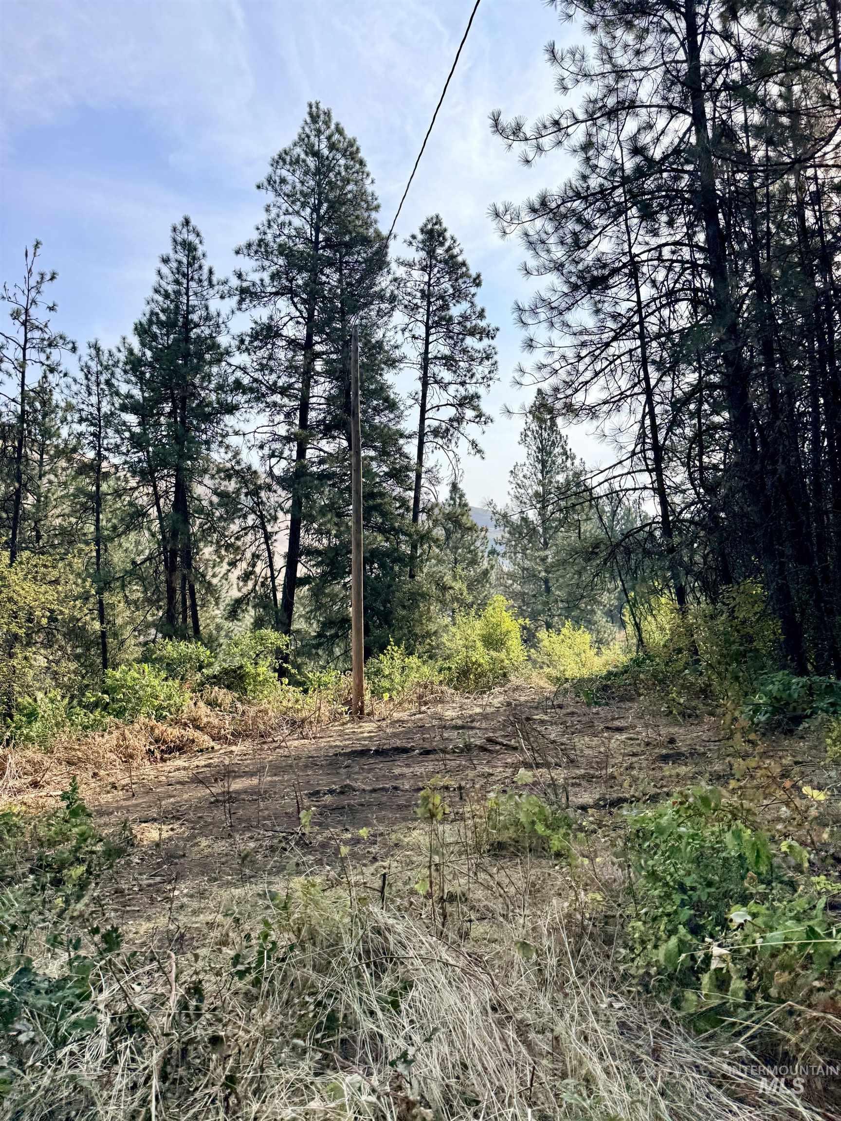 TBD 17.49 Acres Hwy 12, Lenore, Idaho 83541, Land For Sale, Price $280,500, 98999543
