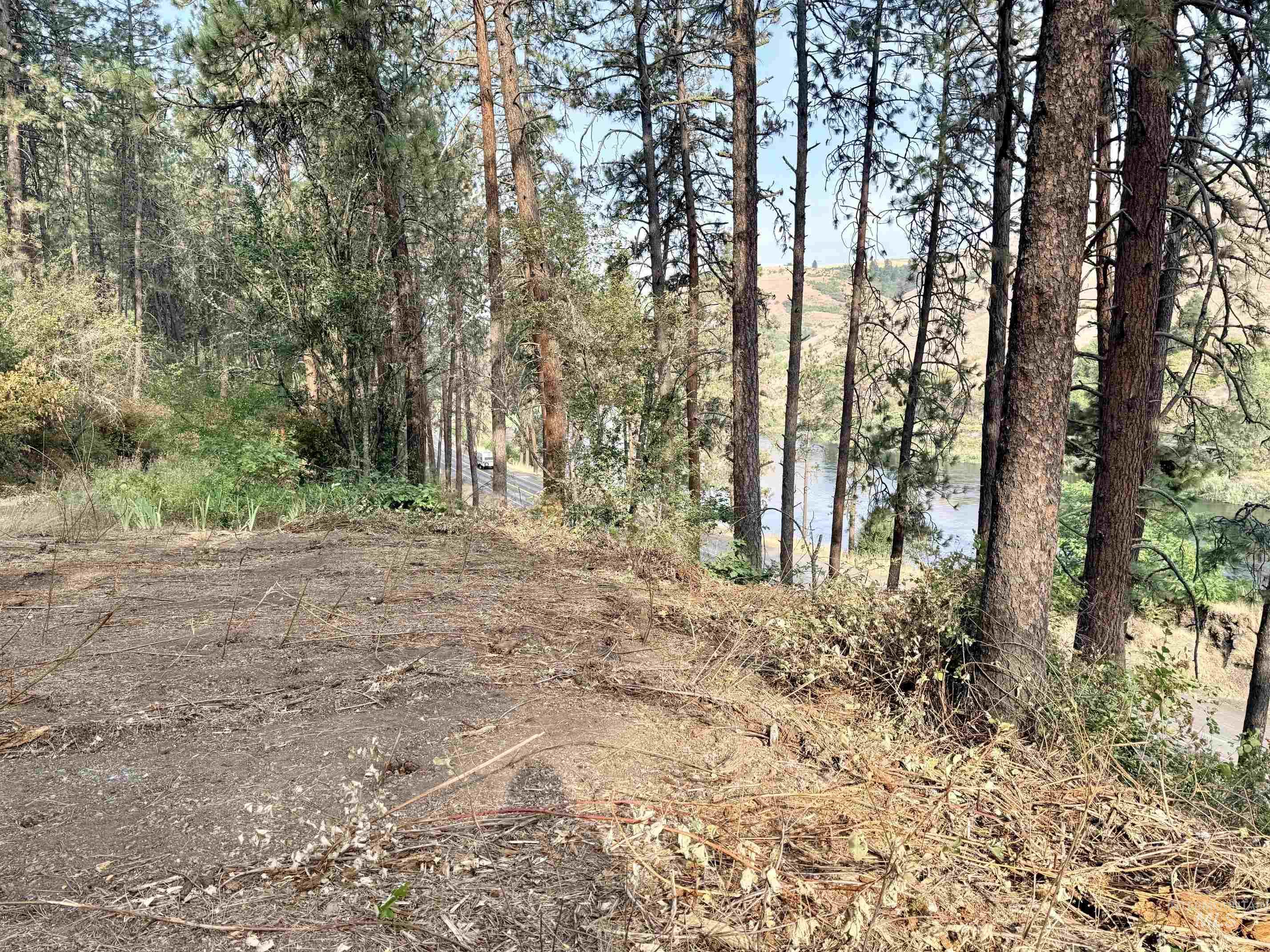 TBD 17.49 Acres Hwy 12, Lenore, Idaho 83541, Land For Sale, Price $280,500, 98999543