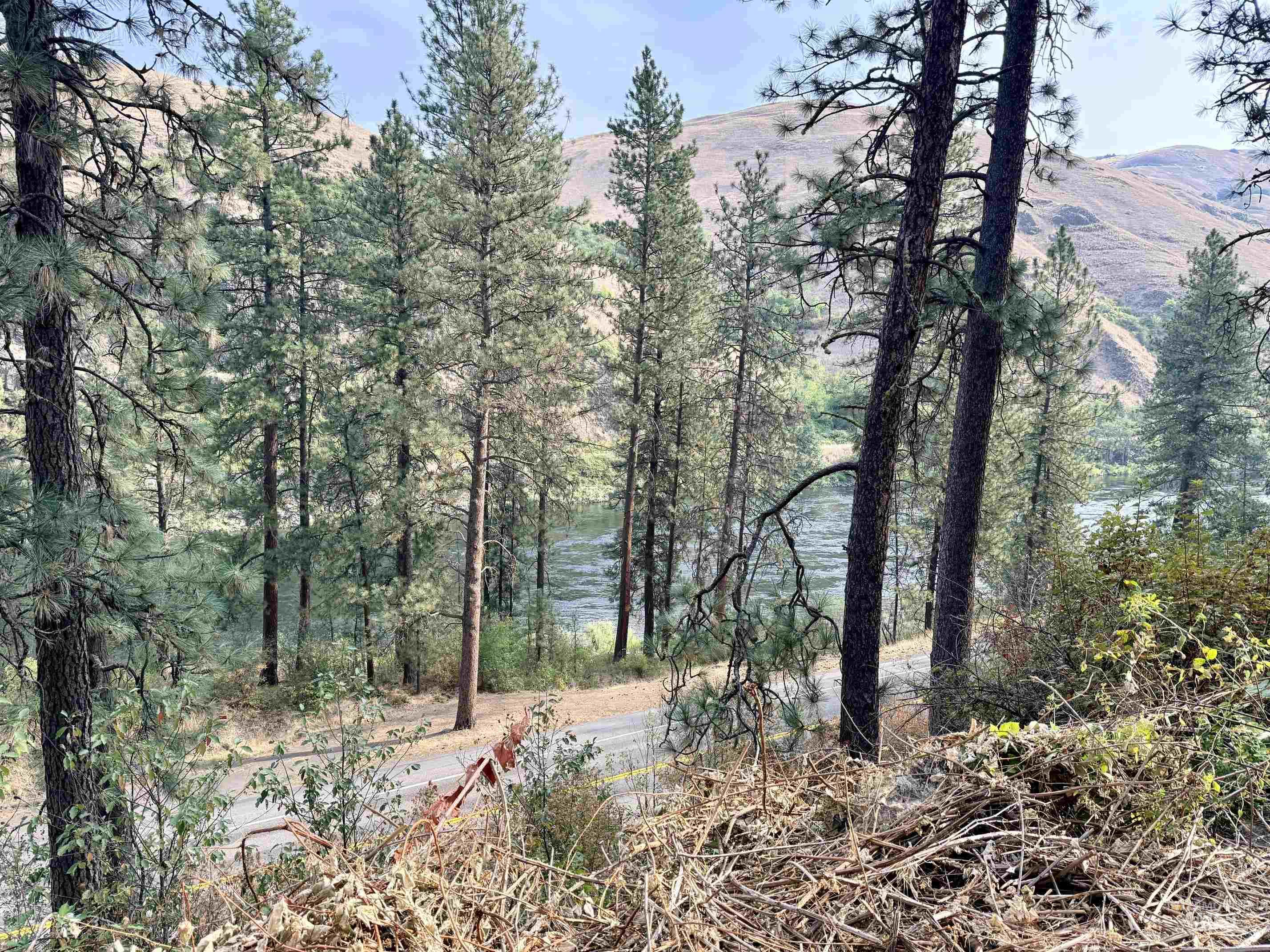TBD 17.49 Acres Hwy 12, Lenore, Idaho 83541, Land For Sale, Price $280,500, 98999543