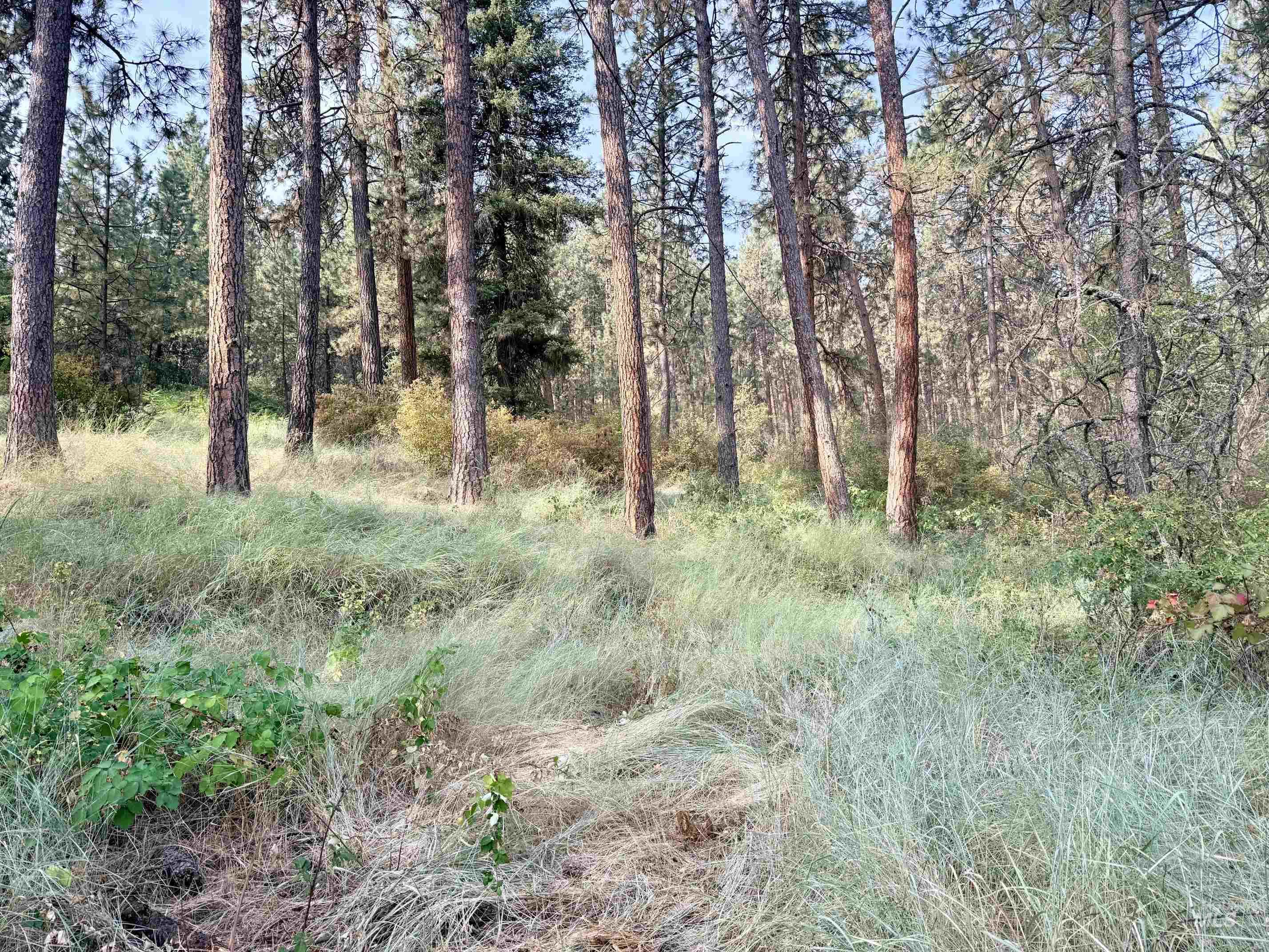 TBD 17.49 Acres Hwy 12, Lenore, Idaho 83541, Land For Sale, Price $280,500, 98999543