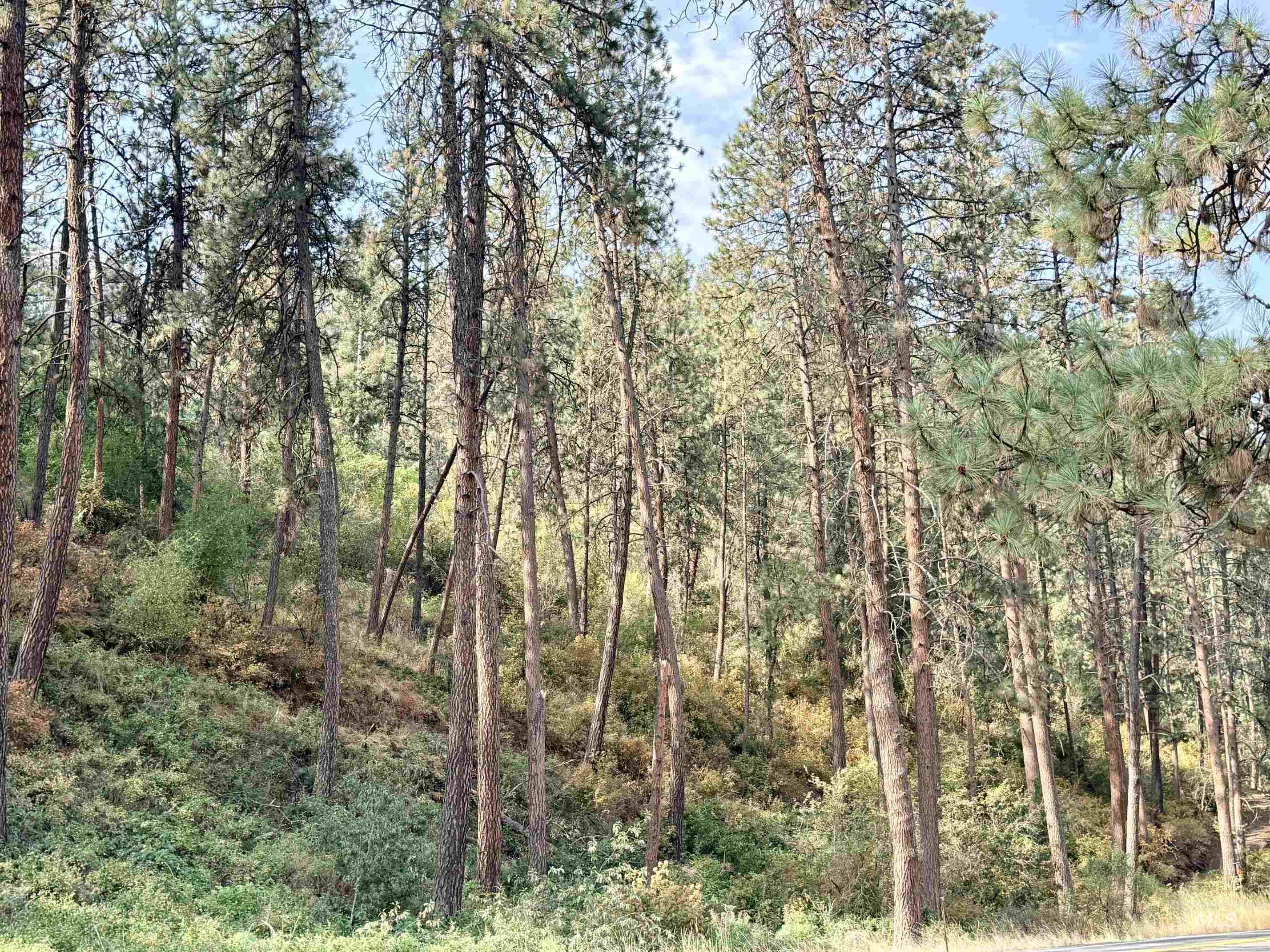 TBD 17.49 Acres Hwy 12, Lenore, Idaho 83541, Land For Sale, Price $280,500, 98999543