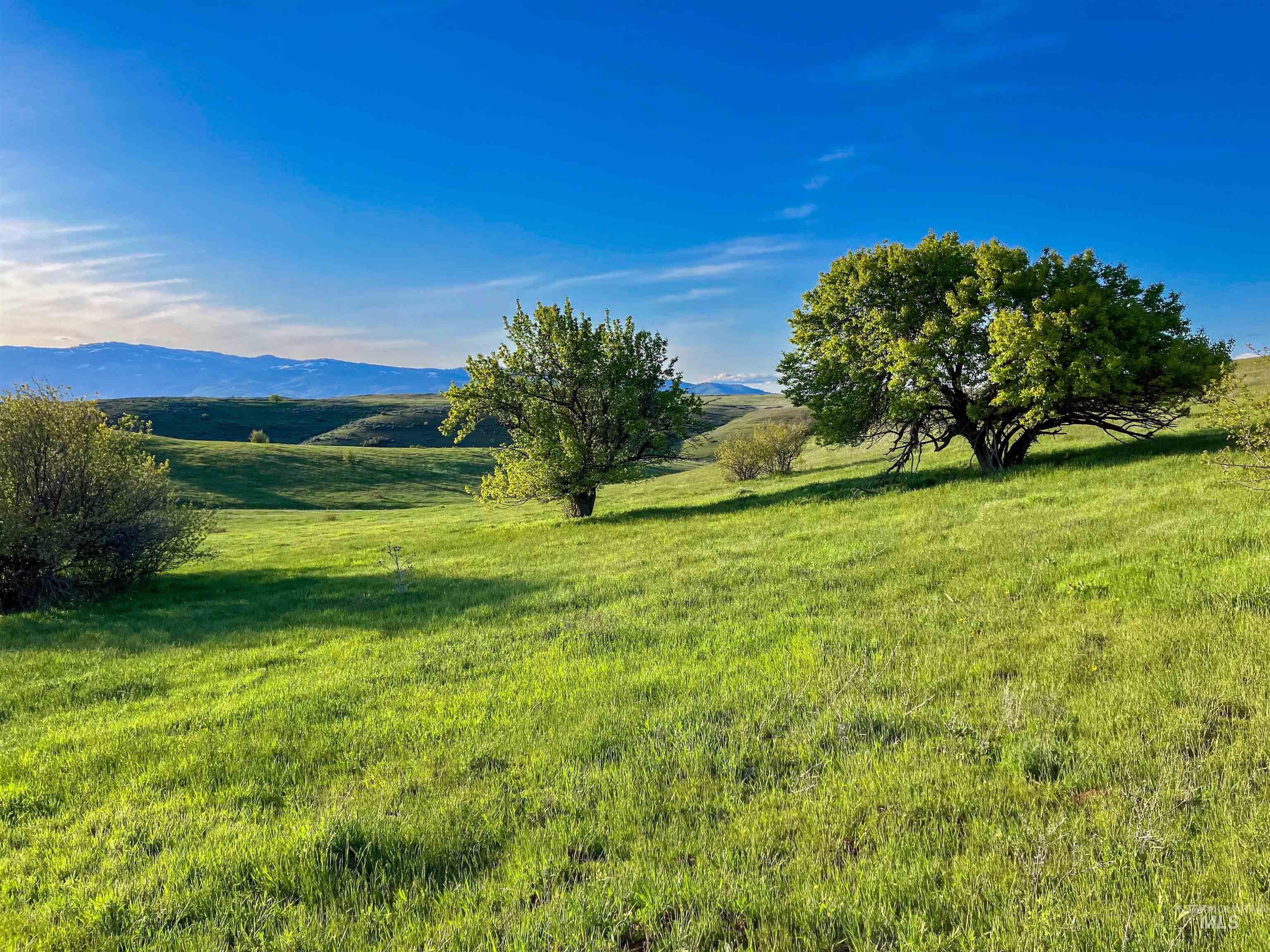 2115 Kilborn Ln, Mesa, Idaho 83643, 2 Bedrooms, 2 Bathrooms, Residential For Sale, Price $745,000,MLS 98999554