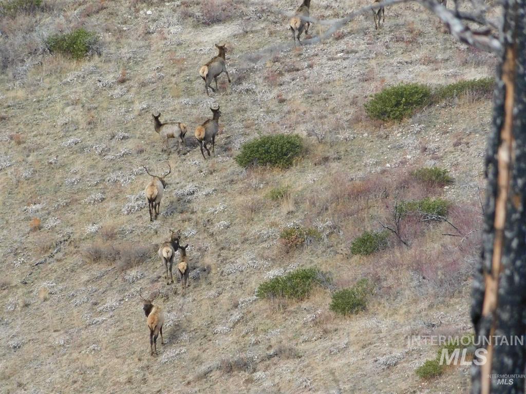 tbd Magpie Crk, Mountain Home, Idaho 83647, Land For Sale, Price $130,000, 98999563