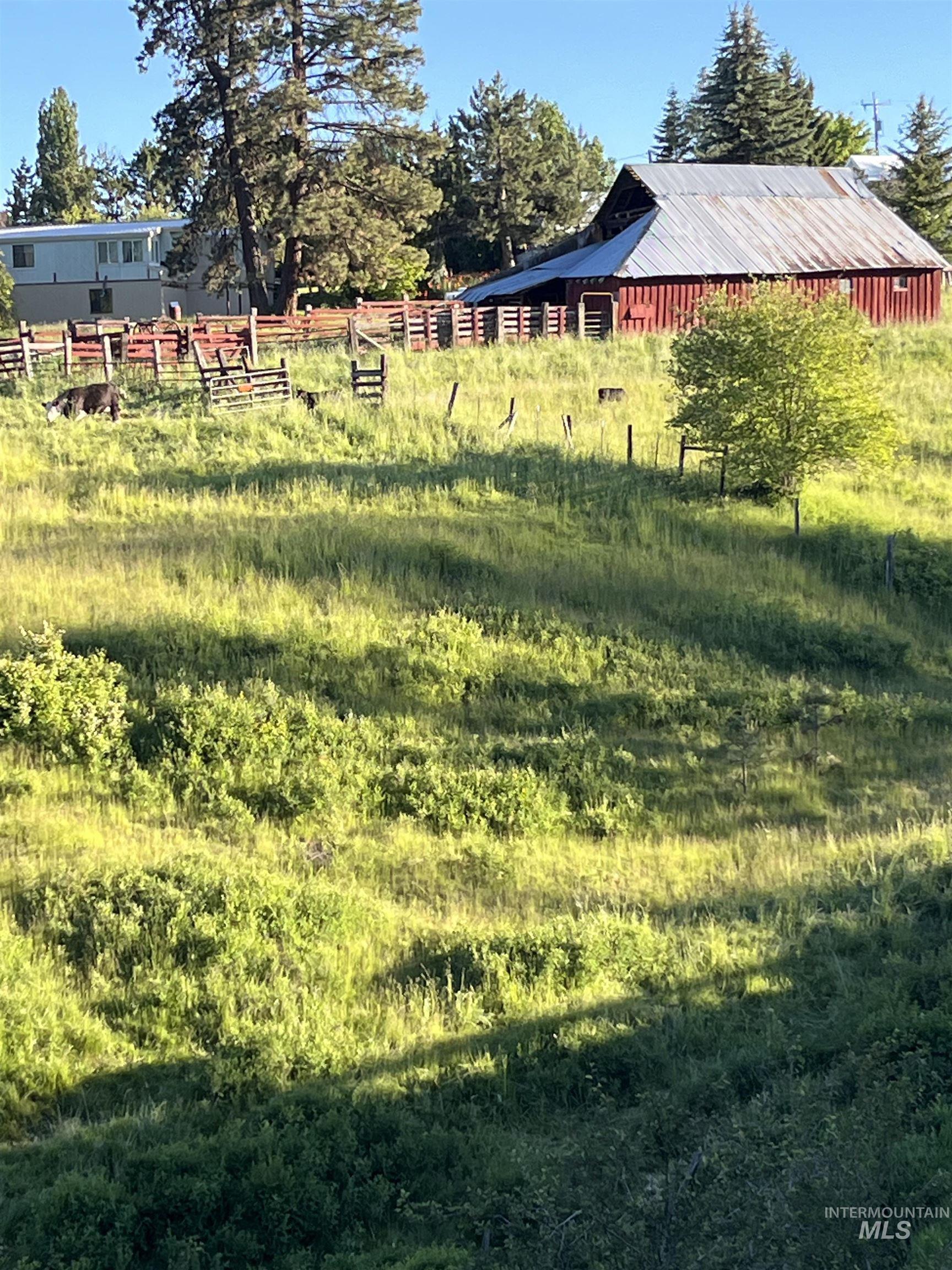 TBD Mason Ave, Winchester, Idaho 83555, Land For Sale, Price $340,000, 98999609