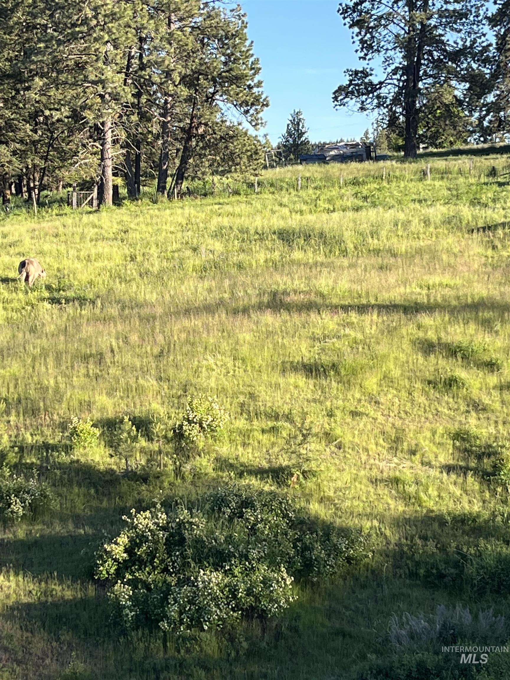 TBD Mason Ave, Winchester, Idaho 83555, Land For Sale, Price $340,000, 98999609