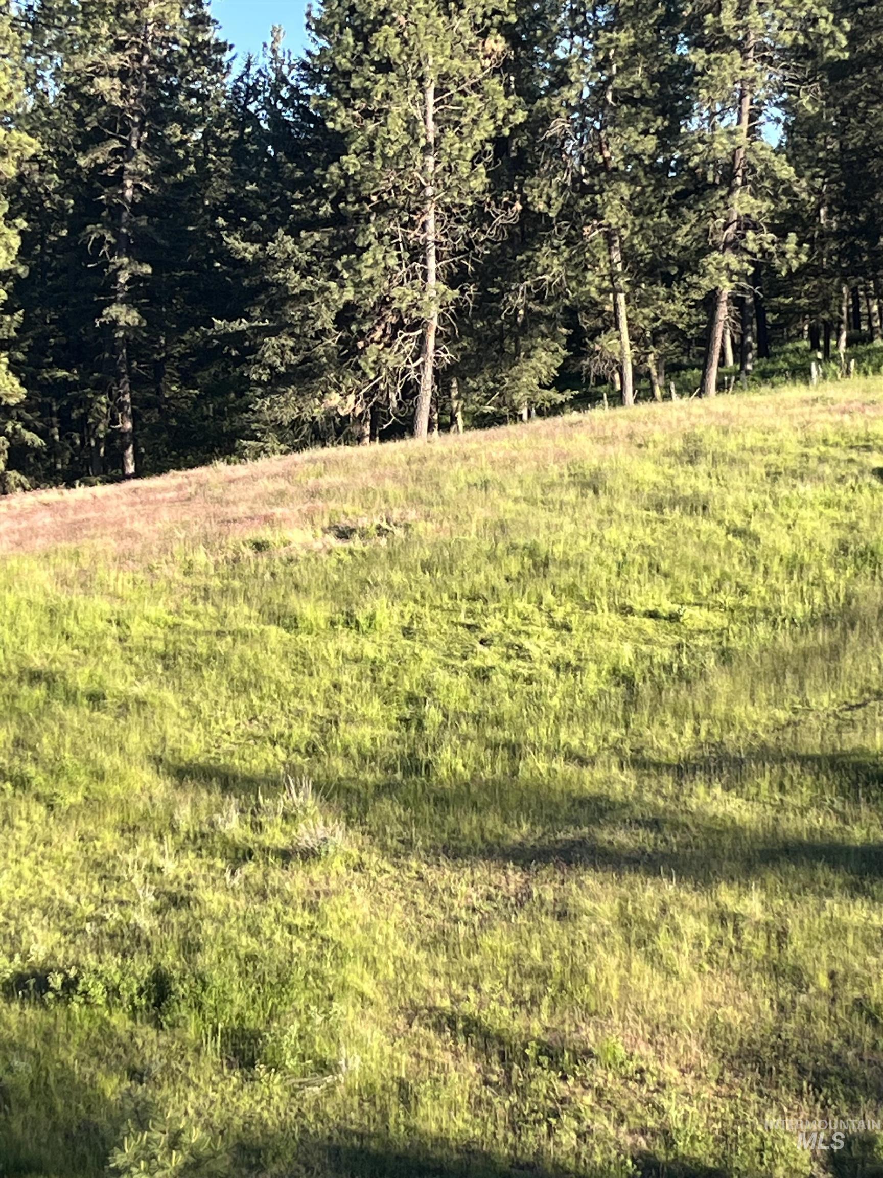 TBD Mason Ave, Winchester, Idaho 83555, Land For Sale, Price $340,000, 98999609