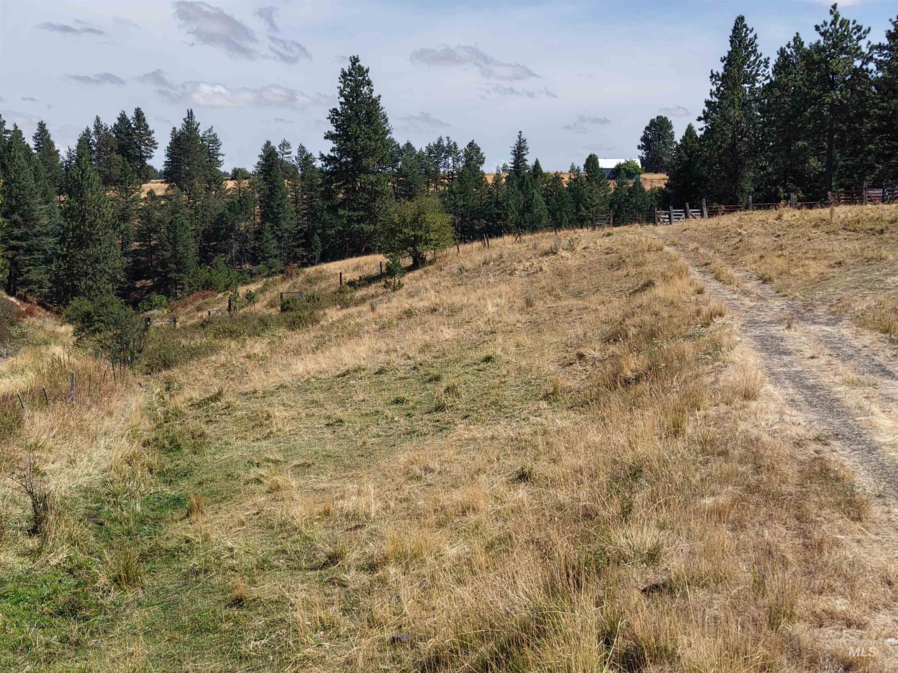 TBD Mason Ave, Winchester, Idaho 83555, Land For Sale, Price $340,000, 98999609
