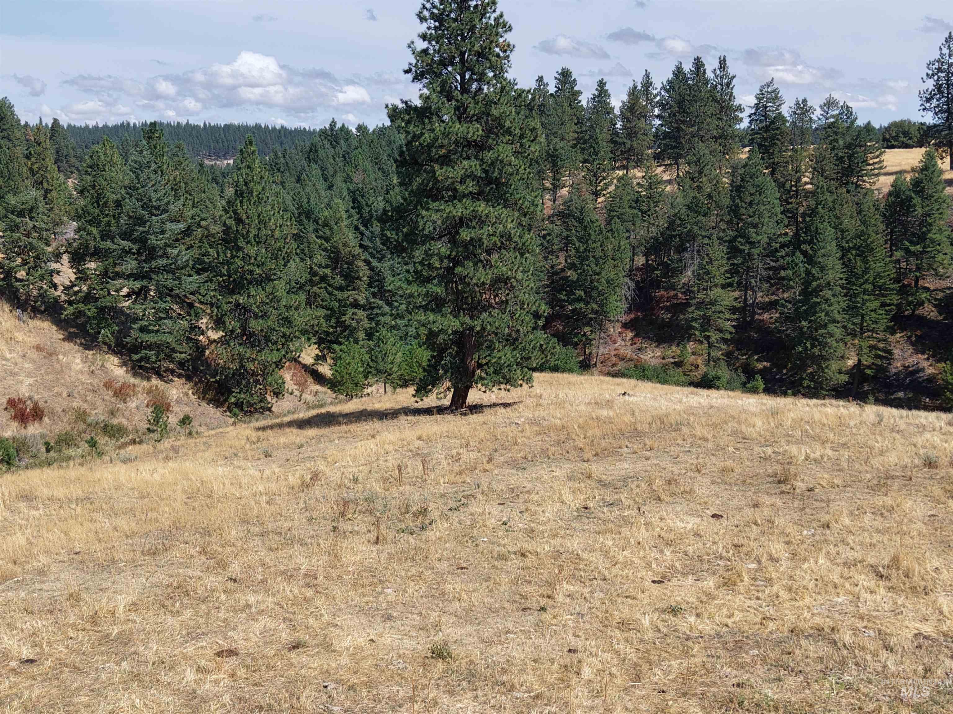 TBD Mason Ave, Winchester, Idaho 83555, Land For Sale, Price $340,000, 98999609