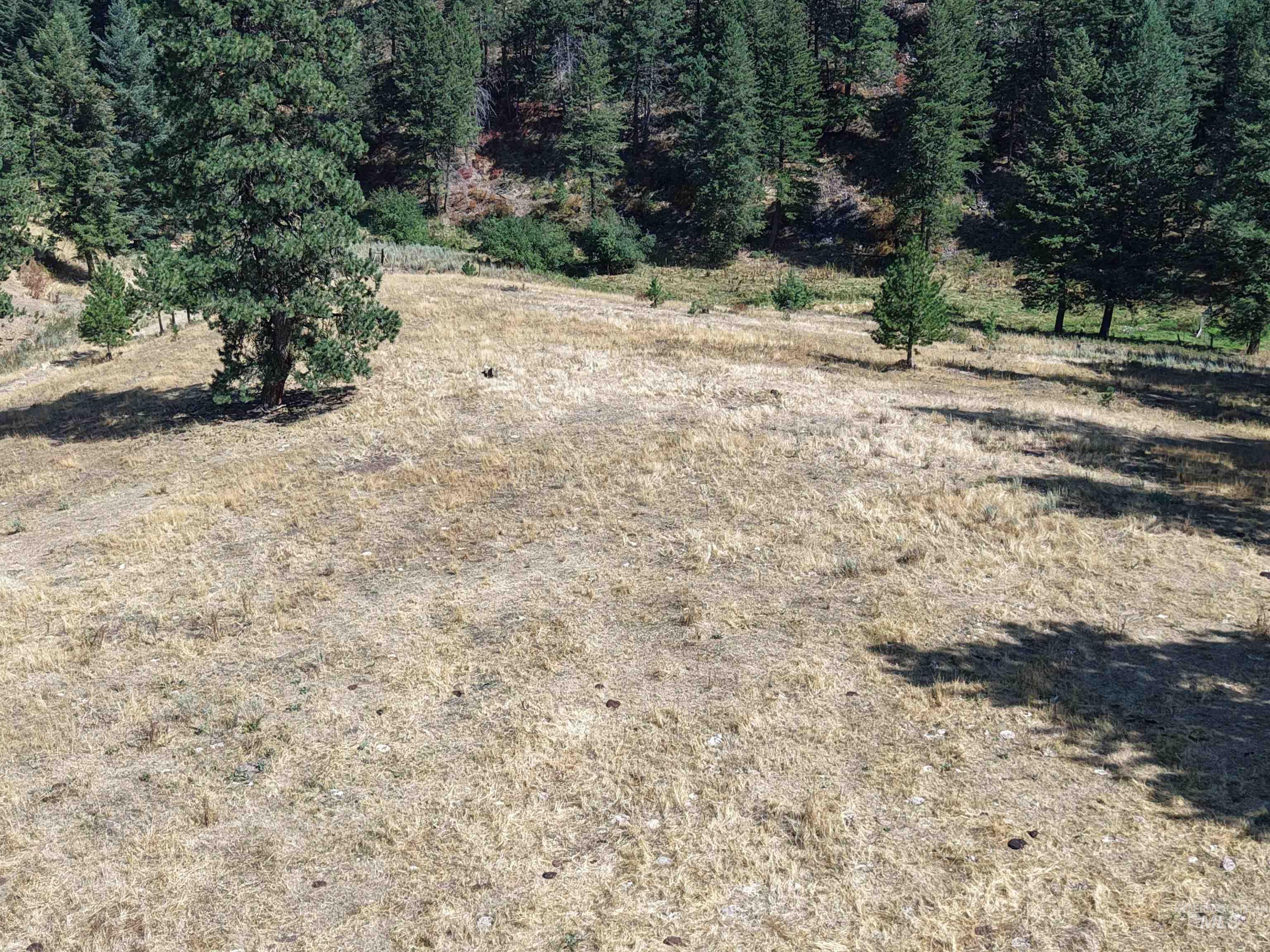 TBD Mason Ave, Winchester, Idaho 83555, Land For Sale, Price $340,000, 98999609