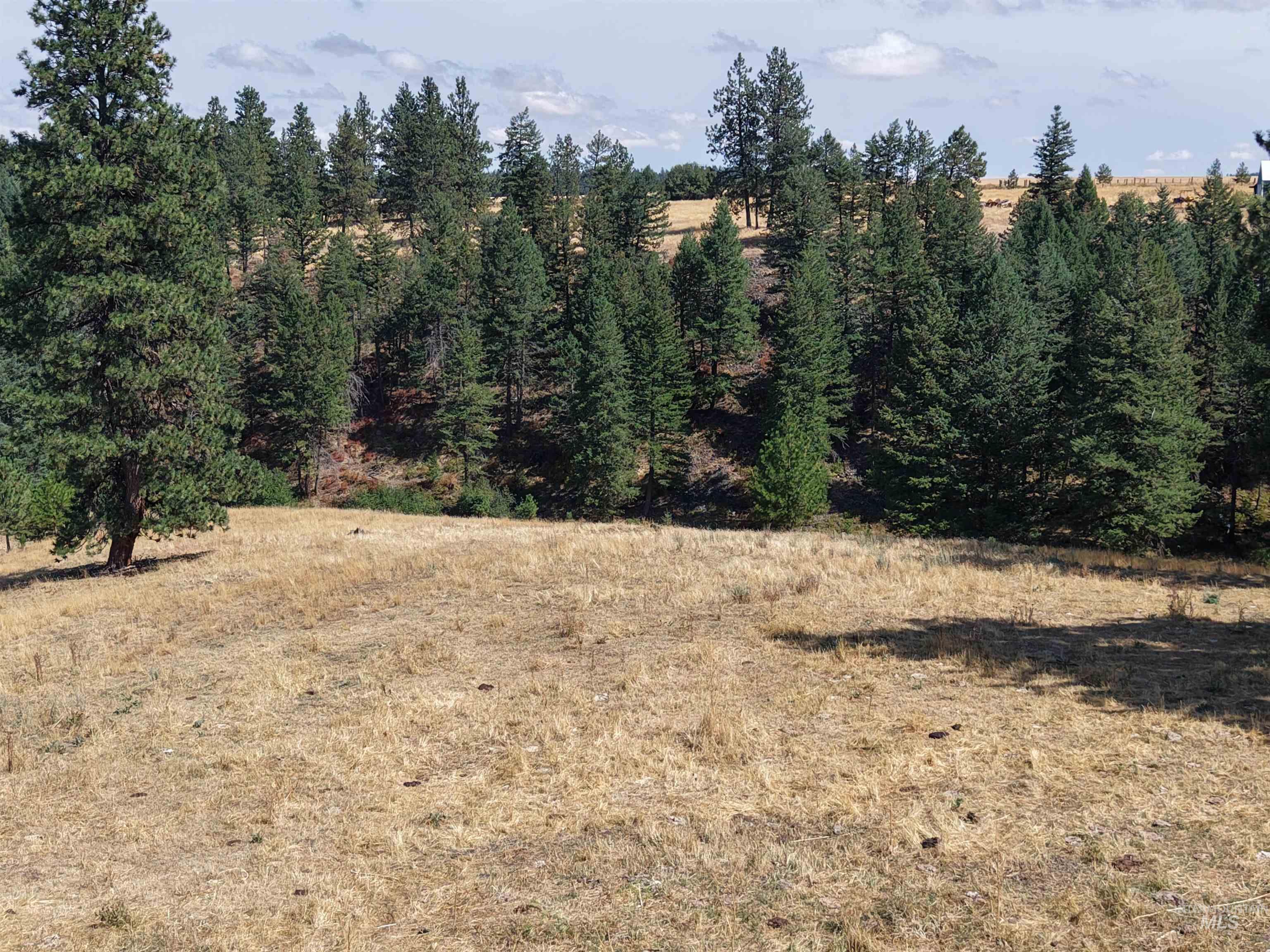 TBD Mason Ave, Winchester, Idaho 83555, Land For Sale, Price $340,000, 98999609