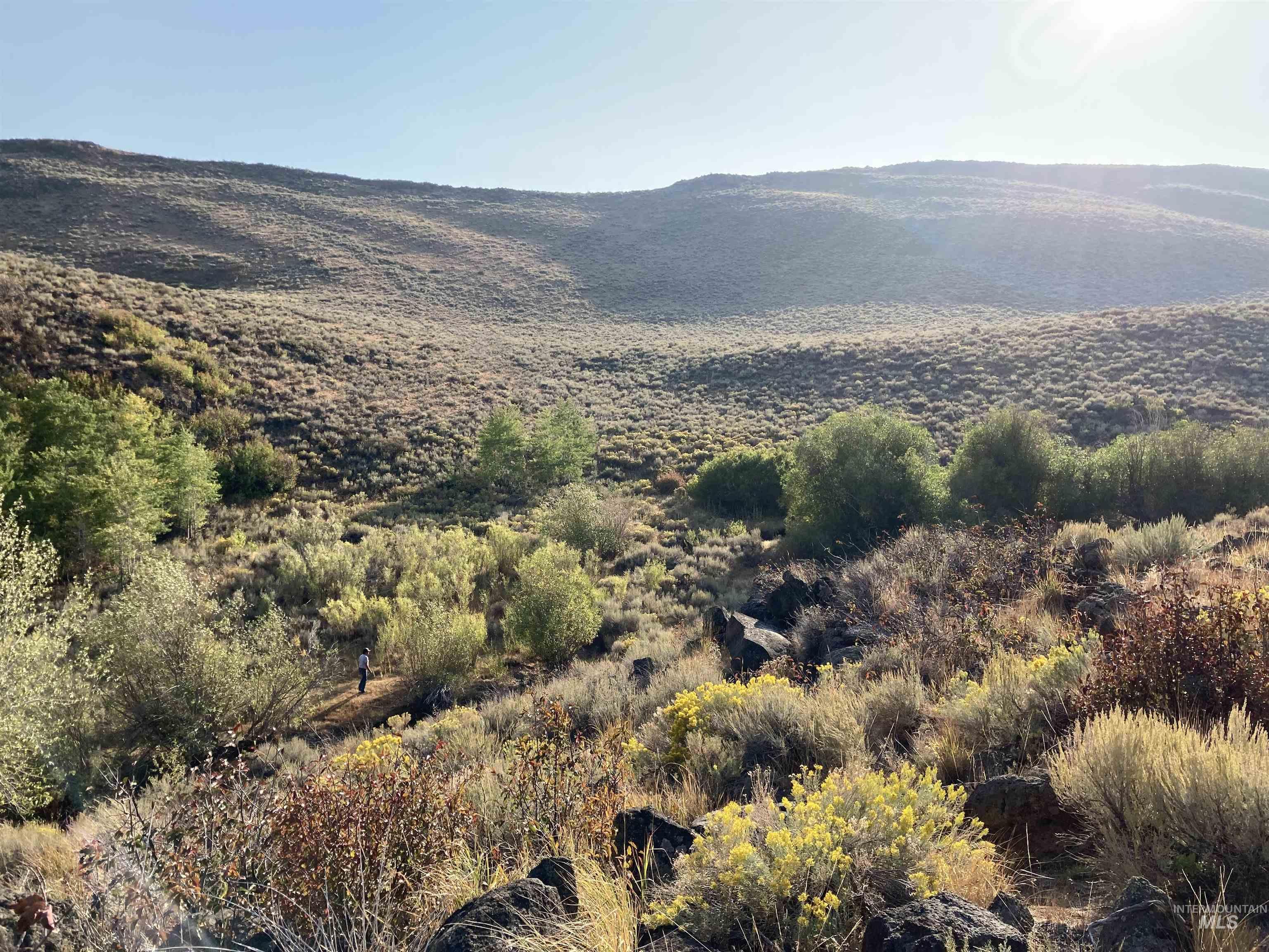 Poison Creek Road, Bellevue, Idaho 83313, Land For Sale, Price $795,000, 98999621