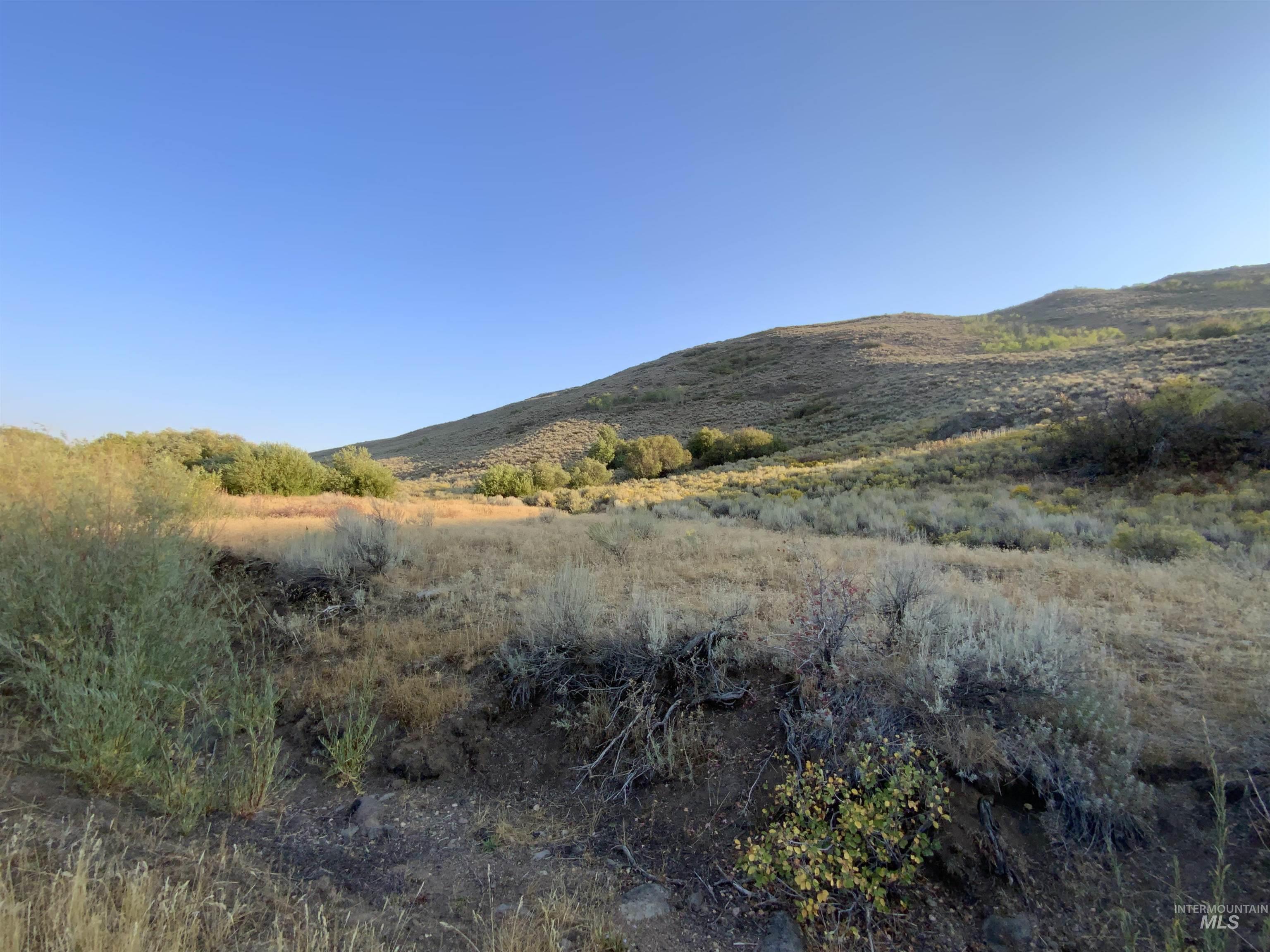 Poison Creek Road, Bellevue, Idaho 83313, Land For Sale, Price $795,000, 98999621