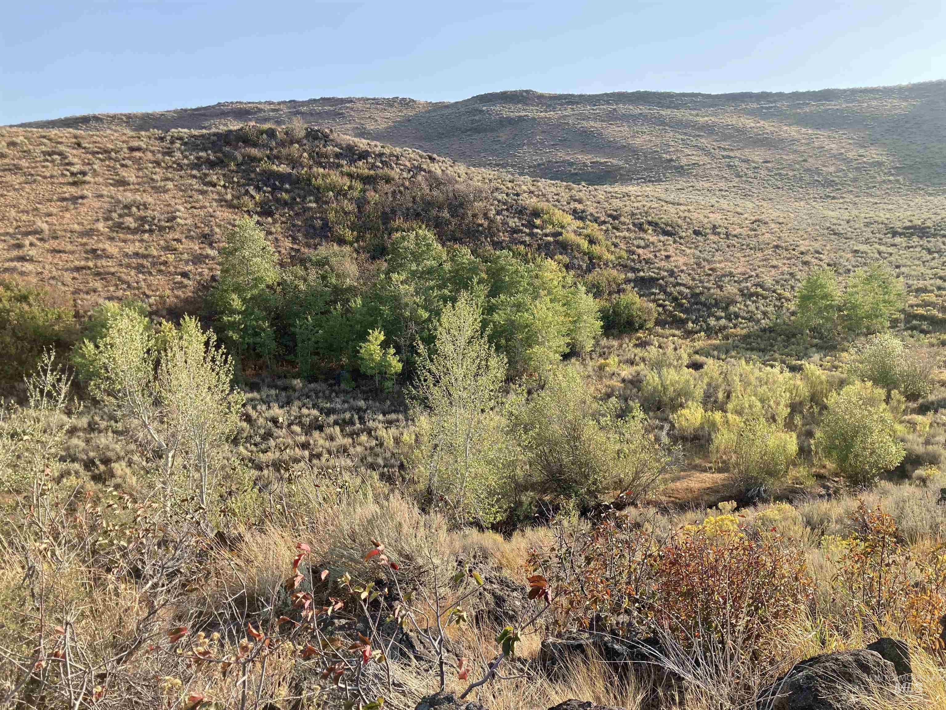 Poison Creek Road, Bellevue, Idaho 83313, Land For Sale, Price $795,000, 98999621