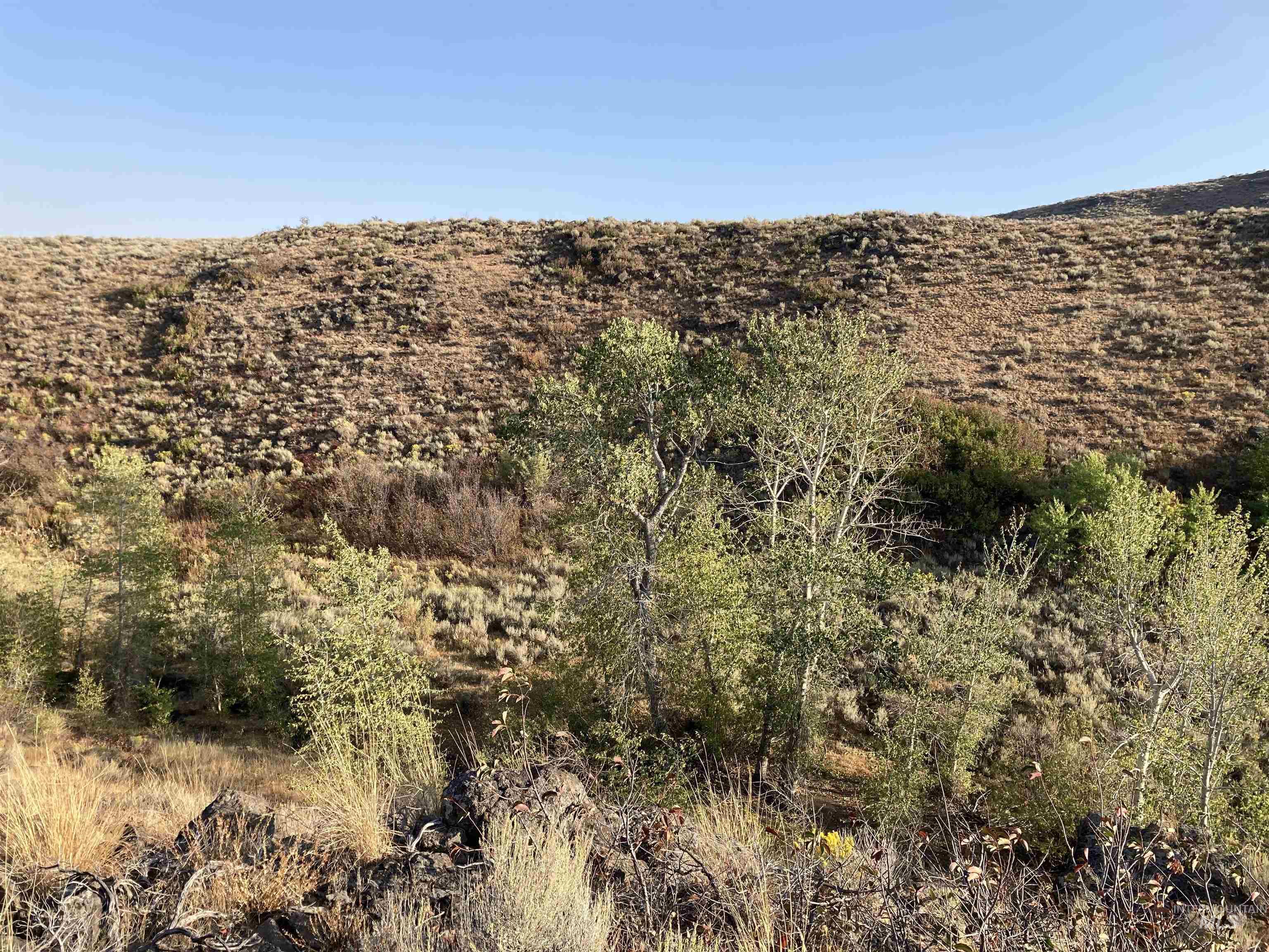 Poison Creek Road, Bellevue, Idaho 83313, Land For Sale, Price $795,000, 98999621